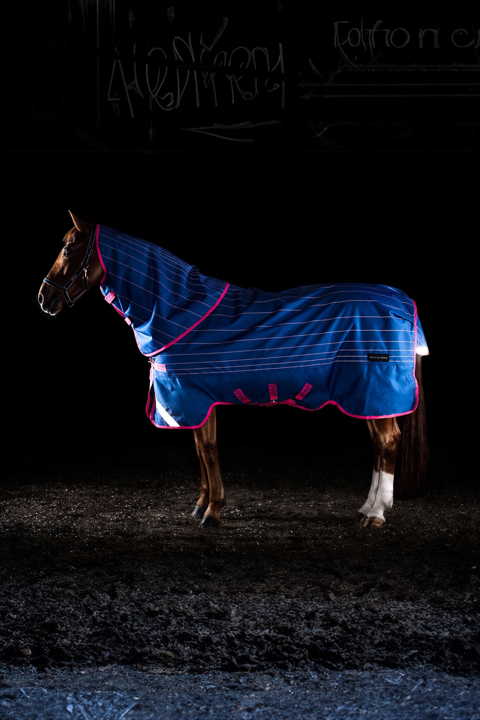 Horseware Amigo Bravo 12 Reflectech Plus výběhová deka s odnímatelným krkem, 250g Horse Rugs