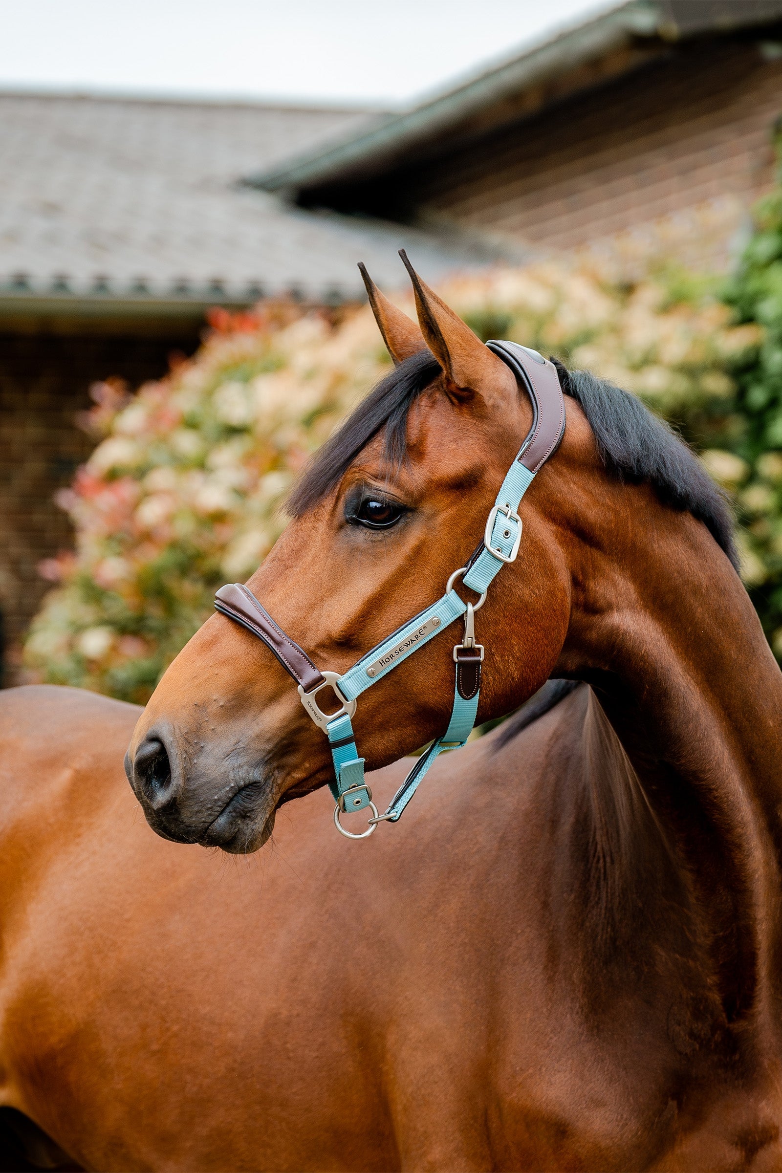 Horseware Ohlávka Signature Show Halter Halters & Leads
