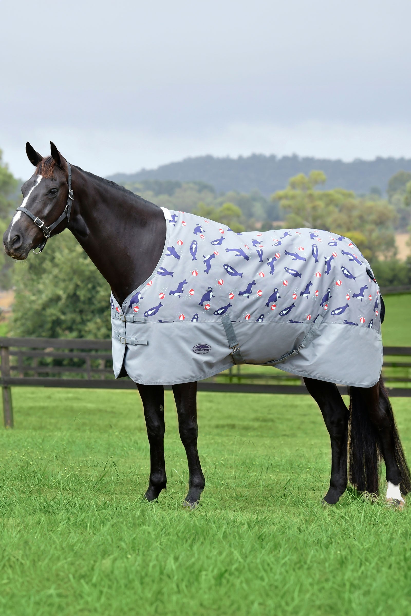 Weatherbeeta Comfitec Tyro s výstřihem standardní výstřih Lite Plus, 50g Horse Rugs
