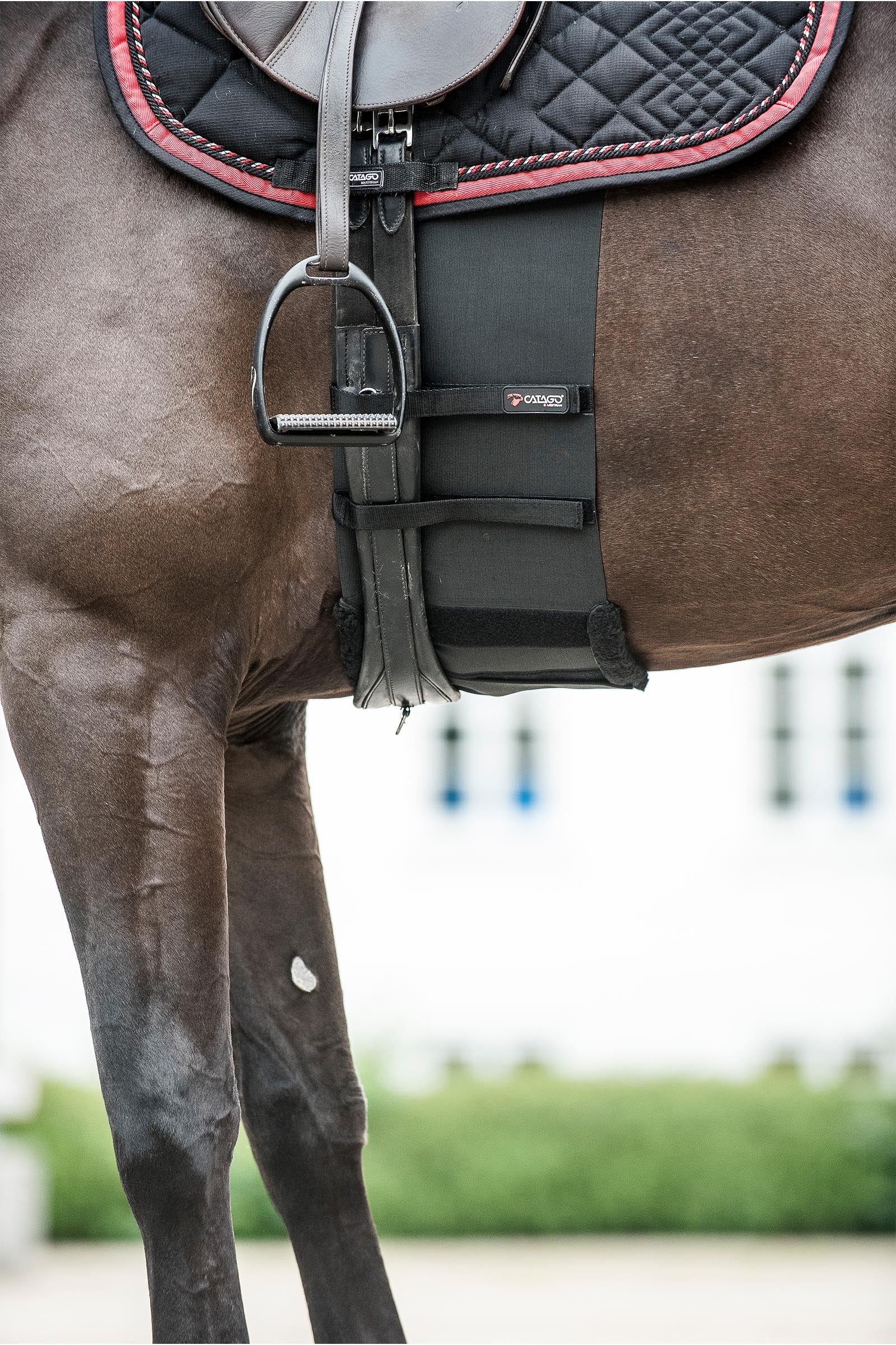 Catago CATAGO Body Shield Saddles, Girths & Stirrups