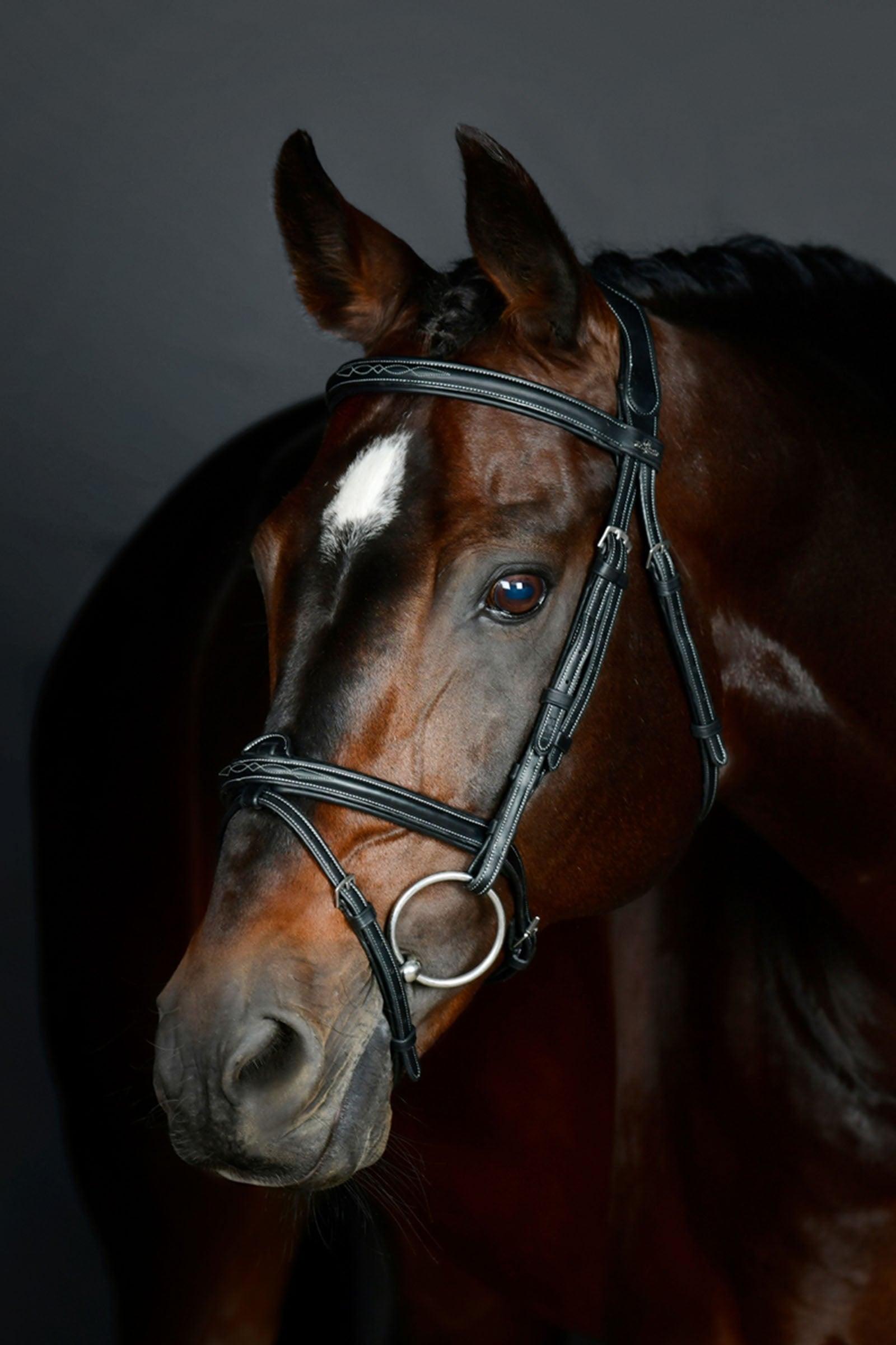 Collegiate Comfitec Opulux Fancy Stitch kombinovaná uzdečka s podloženým nánosníkem Bridles & Reins