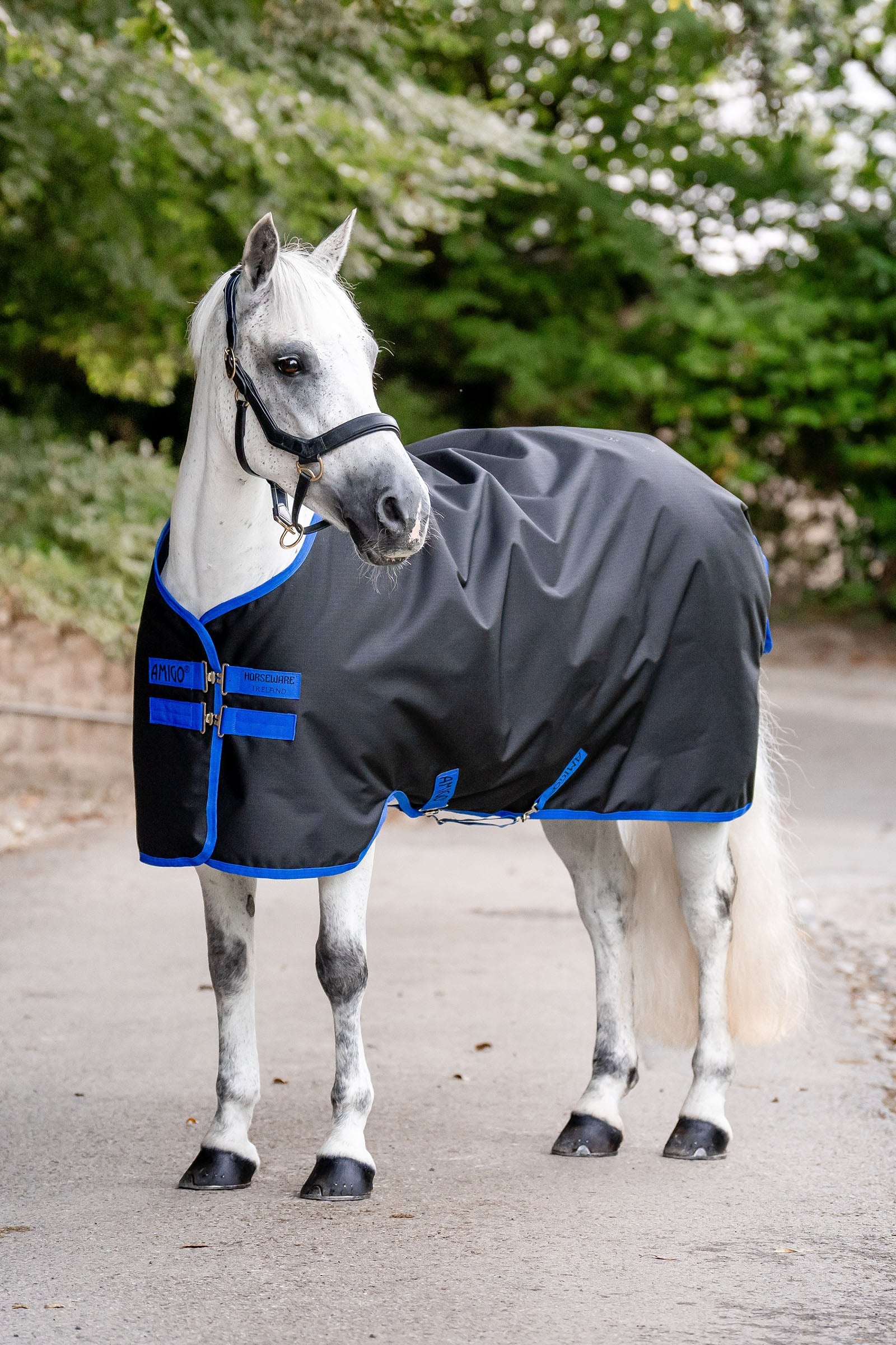 Horseware Amigo Ripstop Výběhové deky 900D, 0g Horse Rugs