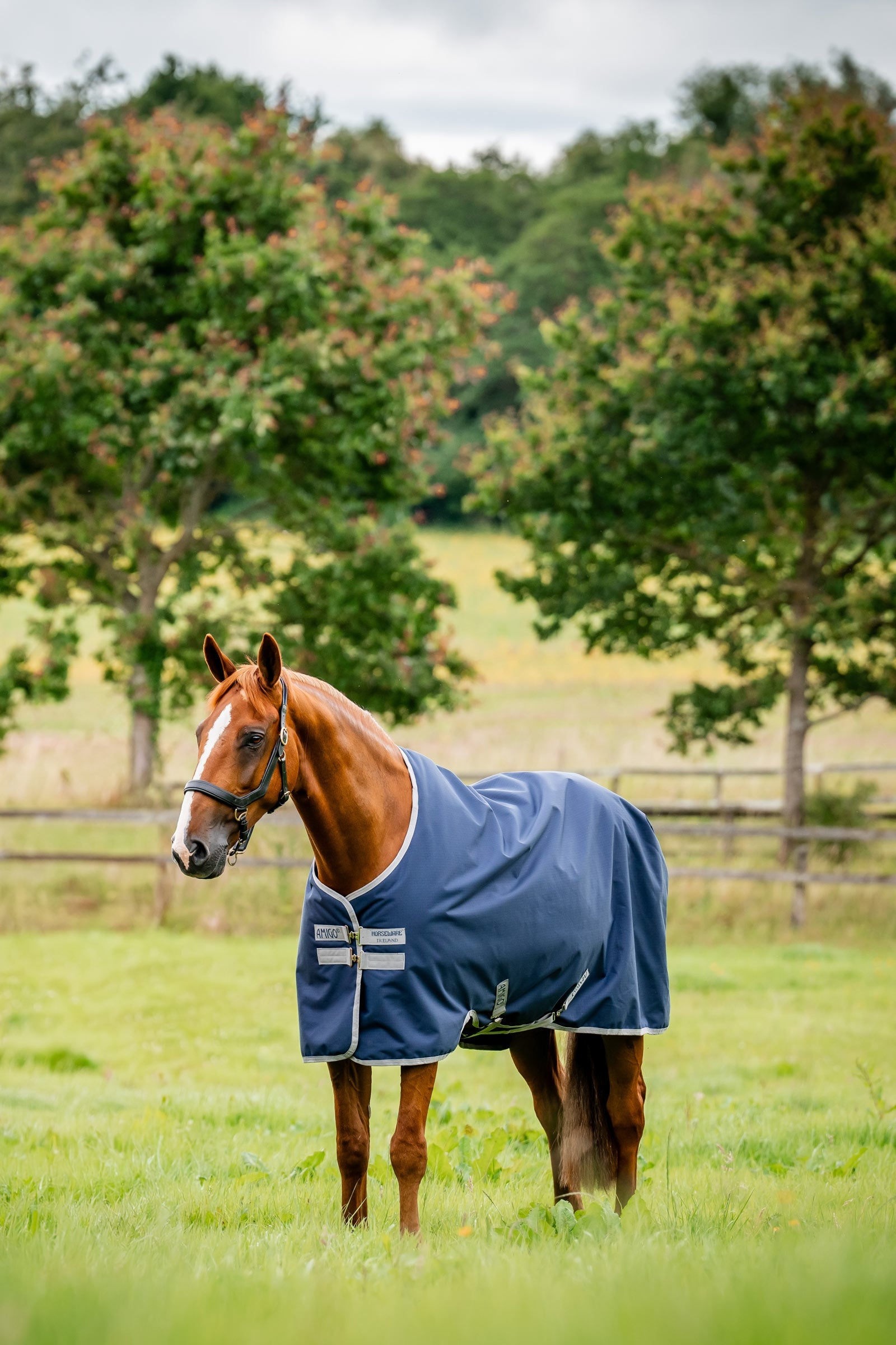 Horseware Amigo Ripstop Výběhové deky 900D, 0g Horse Rugs