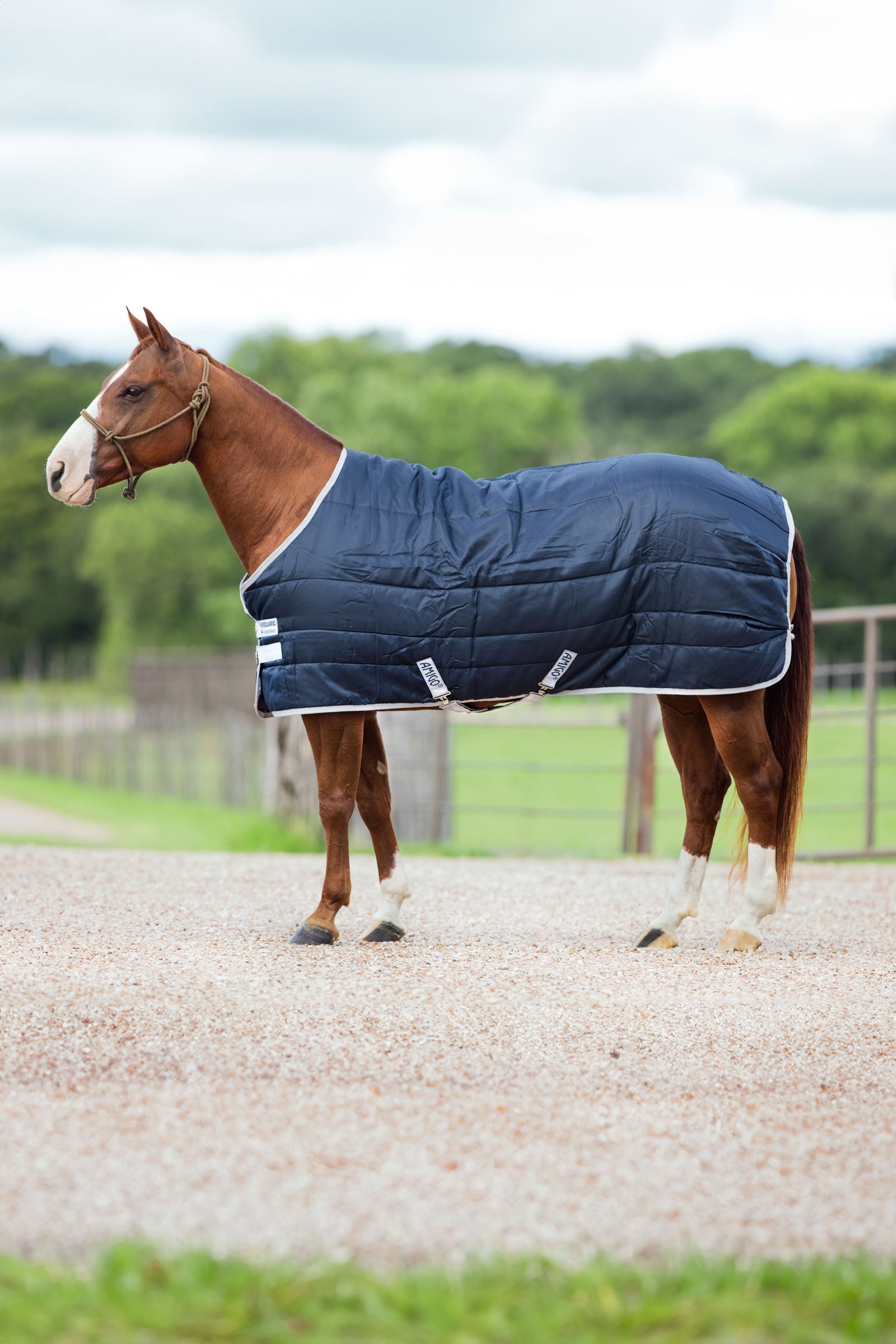 Horseware Amigo Insulator stájový koberec, 200g Horse Rugs