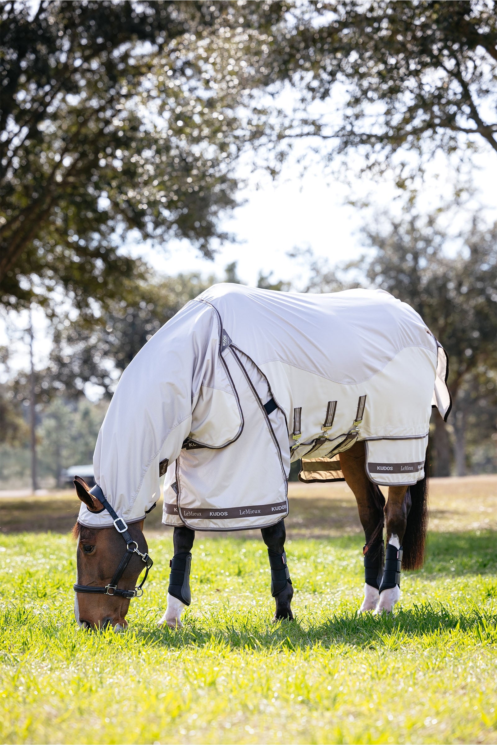 LeMieux Kudos Shower Pro ekzémové deky s odnímatelným krčním dílem Horse Rugs