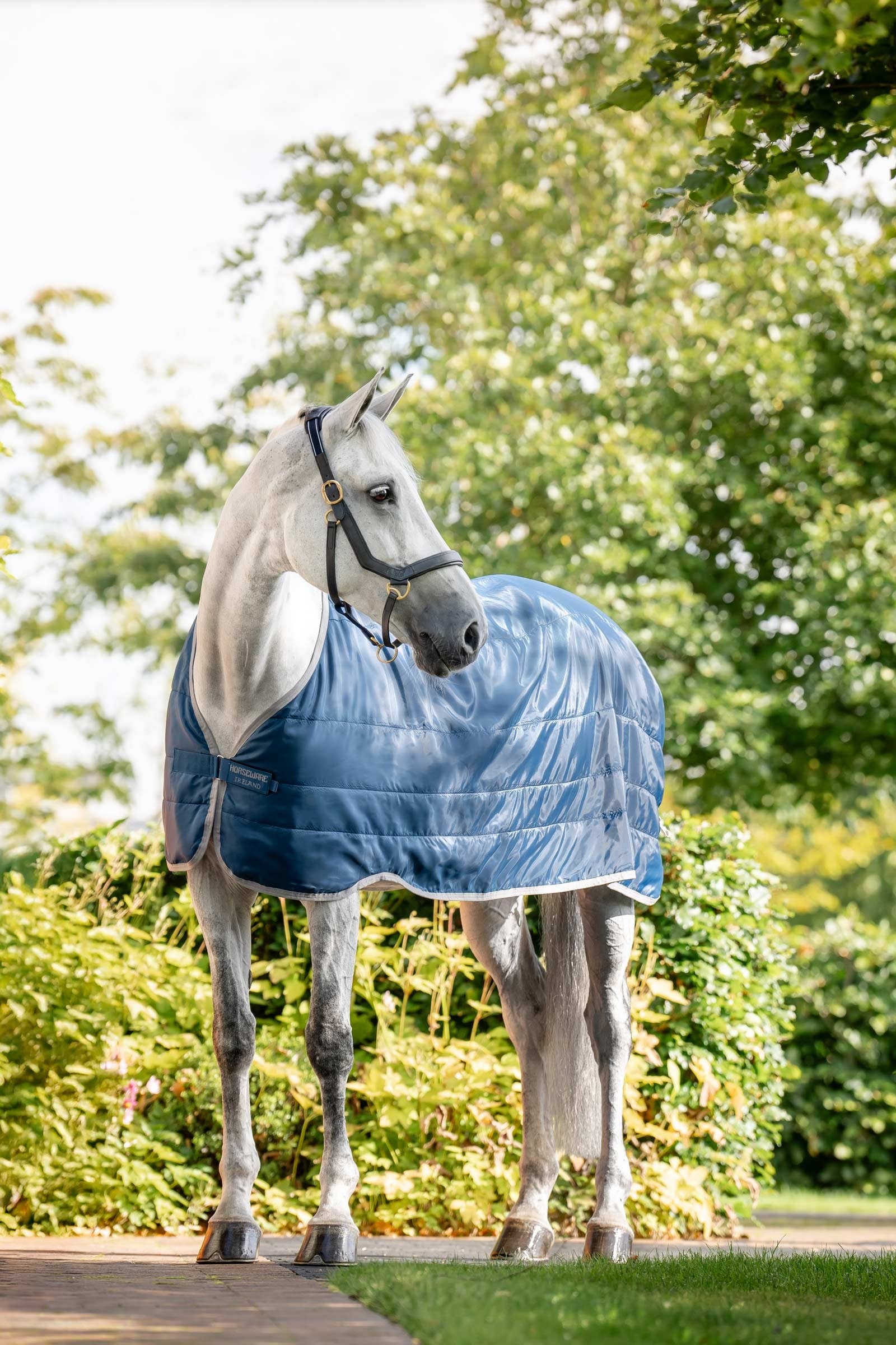 Horseware Ionic Therapy Podšívka 50g Horse Rugs