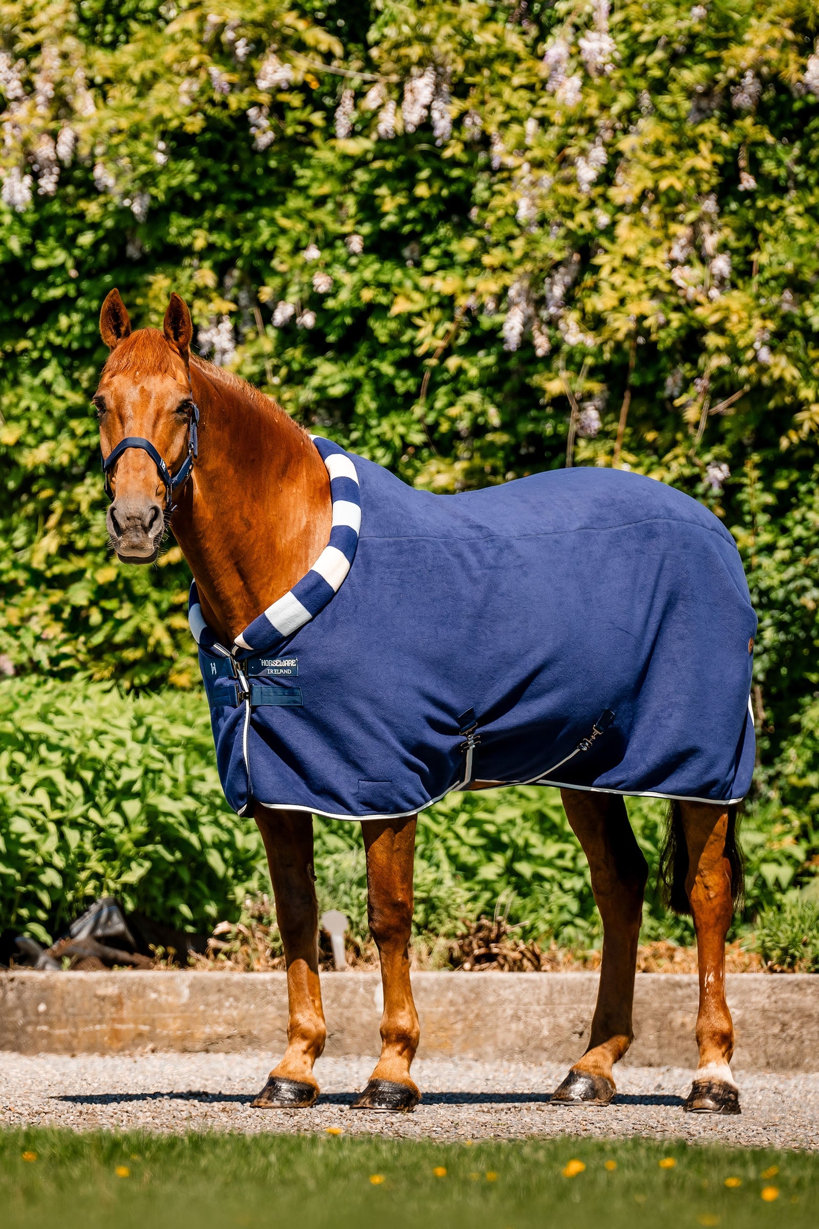 Horseware Newmarket Cosy Fleece Odpocovací deka Horse Rugs