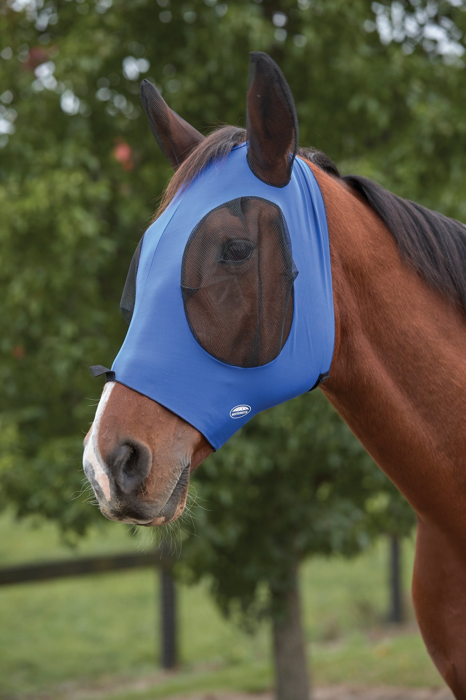 Weatherbeeta Deluxe Stretch Bug Eye Saver with Ears Antifly Protection for Horses
