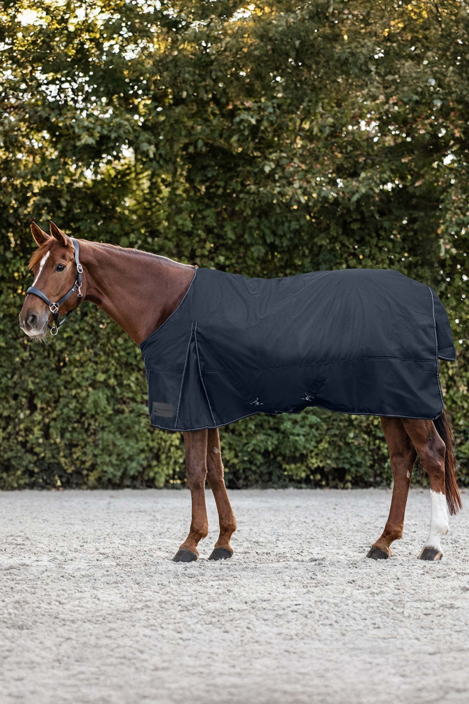Waldhausen Nordic Výběhové deky, 200 g Horse Rugs