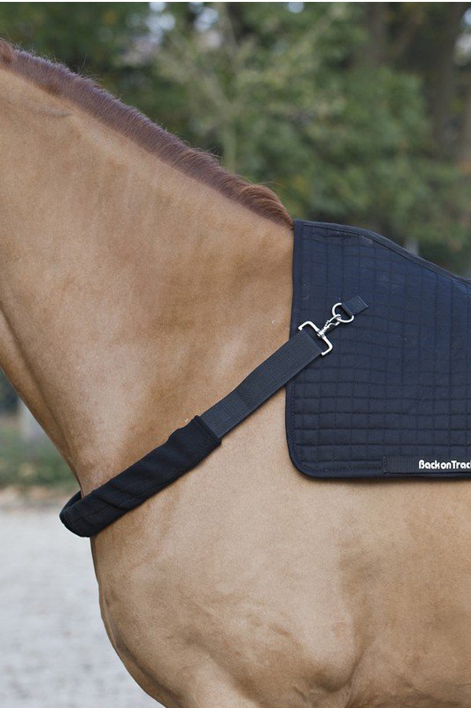 Back on Track Girth Horseback Warmer Horse Rugs
