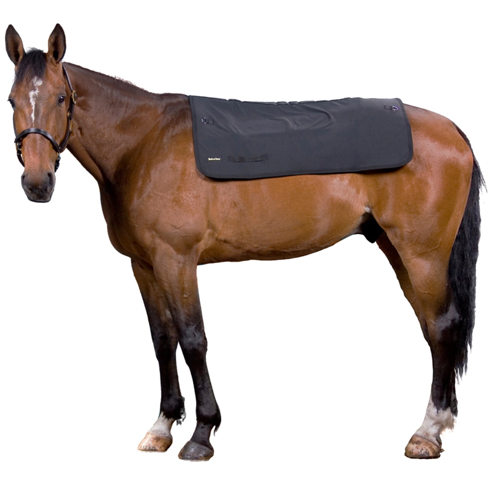 Back on Track Ohřívač zad Back on Track, 100 cm x 100 cm Saddle Pads