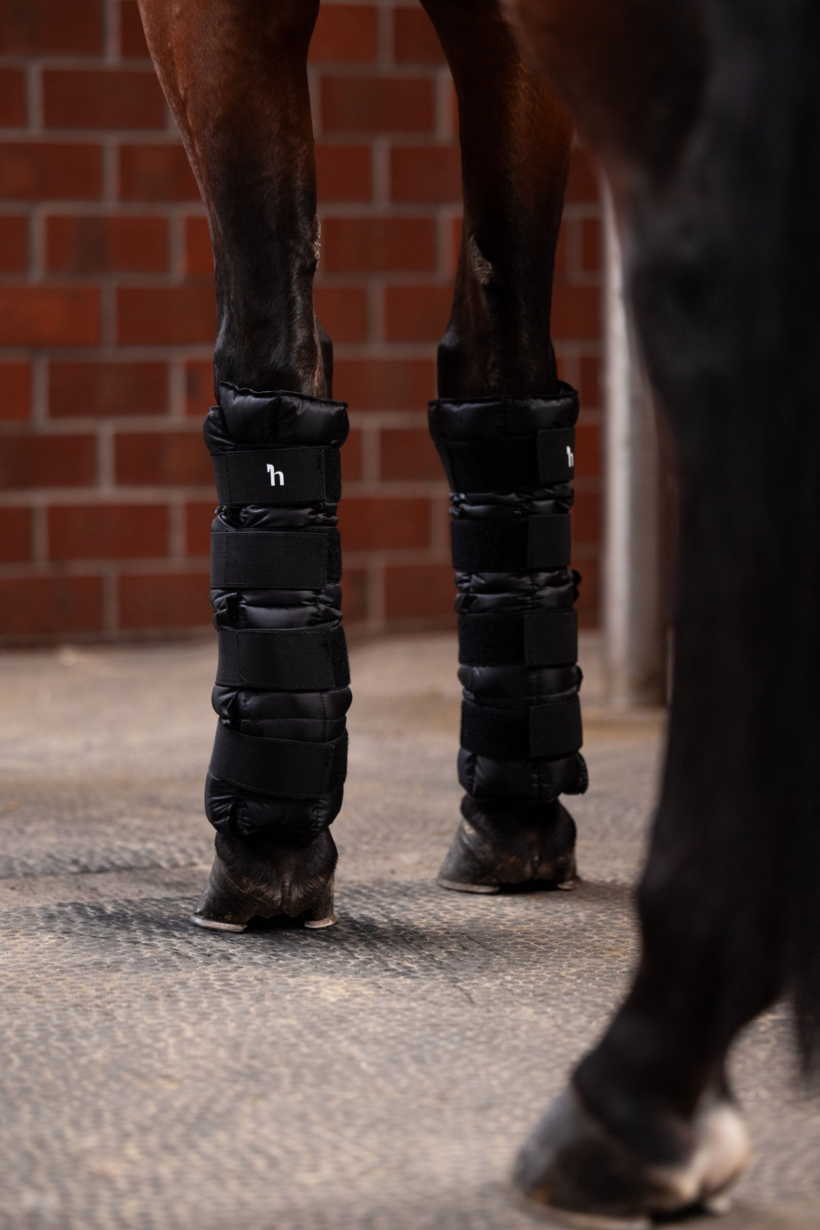 Horze Cooling Wraps (Pair) Leg Protection & Hoof Protection for Horses
