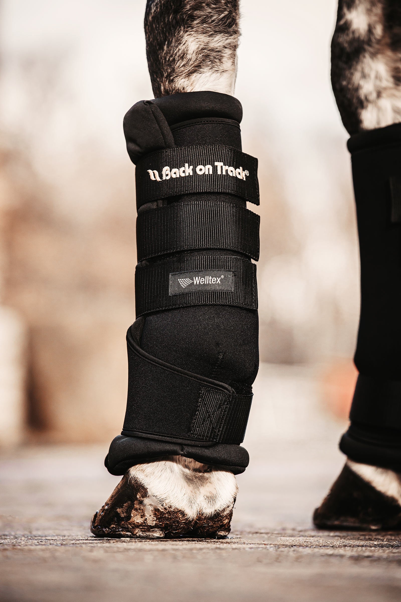 Back on Track Back On Track Quick Royal Leg Wraps Leg Protection & Hoof Protection for Horses
