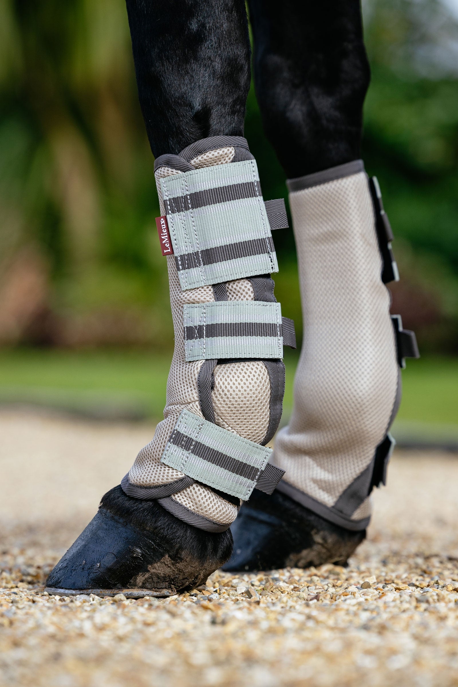 LeMieux Arika mesh chrániče proti hmyzu sada 4 kusů Antifly Protection for Horses