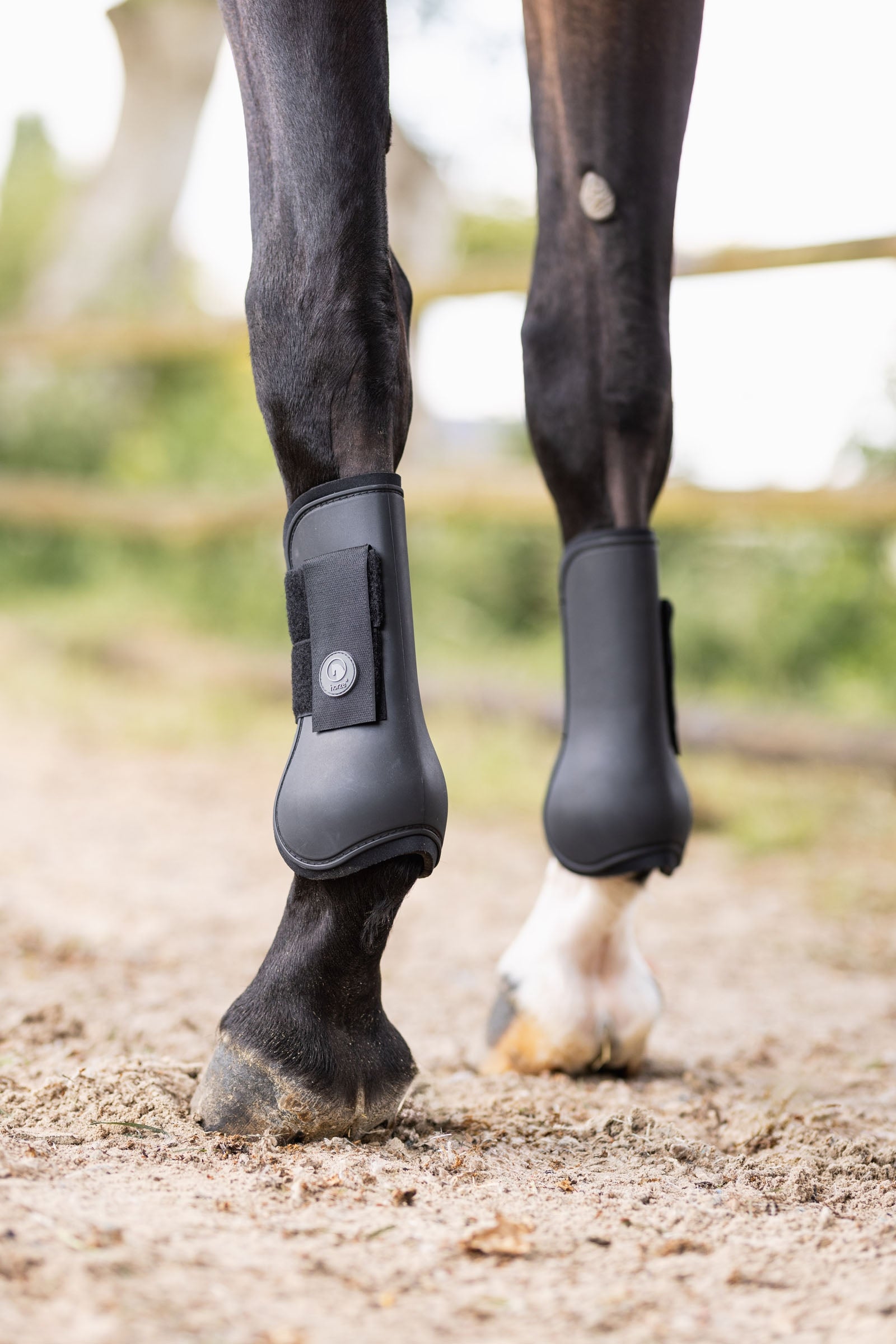 Horze Chicago Tendon Boots Leg Protection & Hoof Protection for Horses