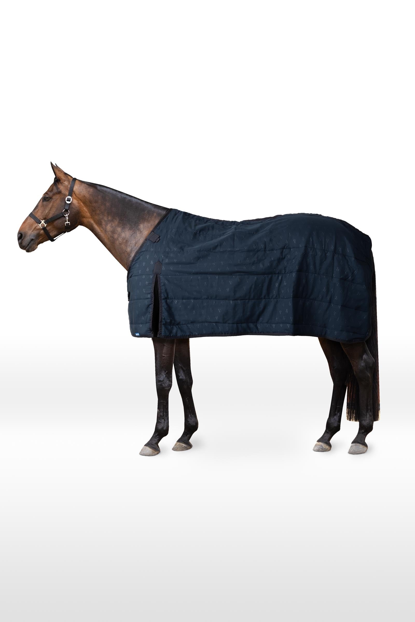Horze podšívka, 50 g Horse Rugs