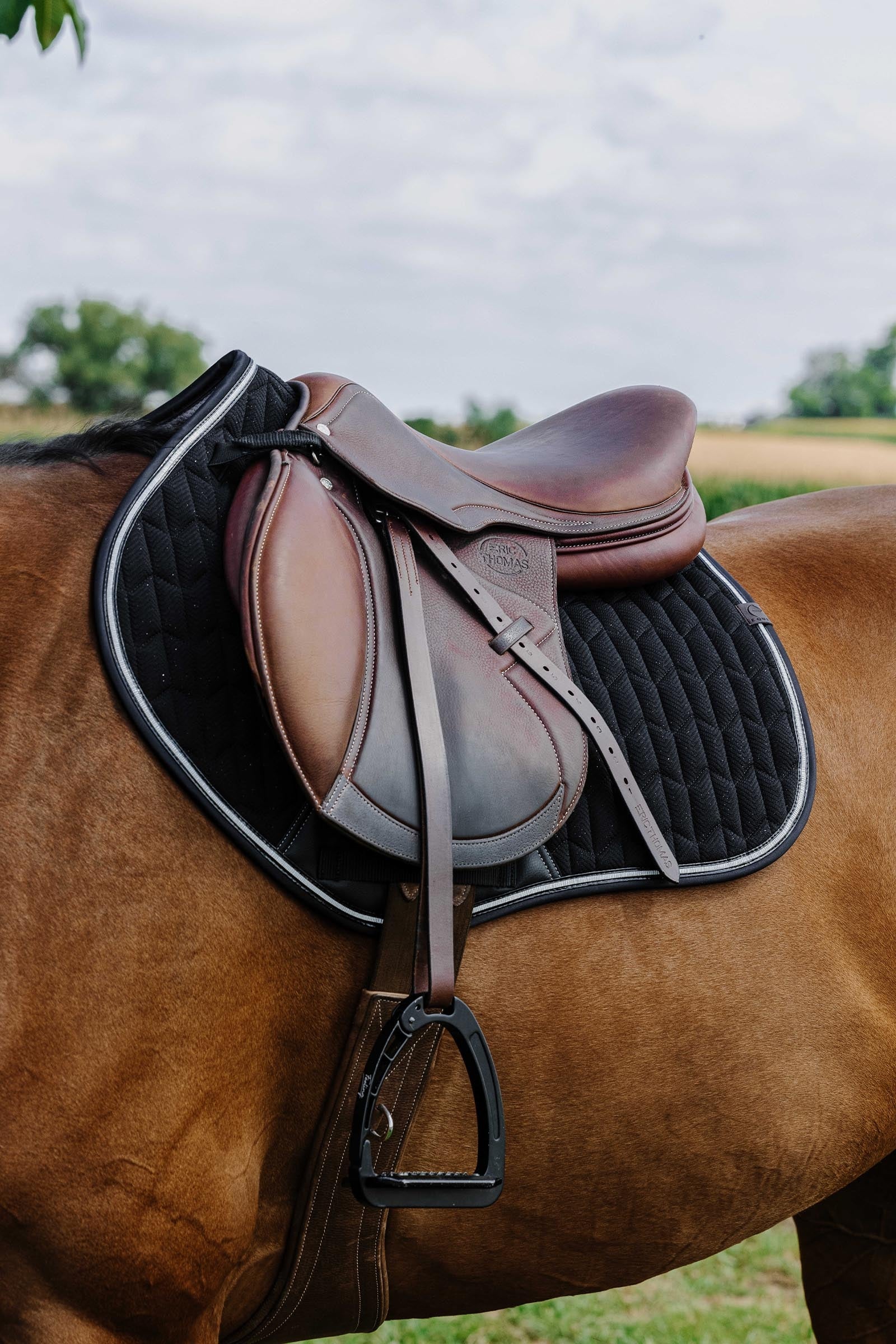 EQUITHÈME Eclat Saddle Pad Saddle Pads