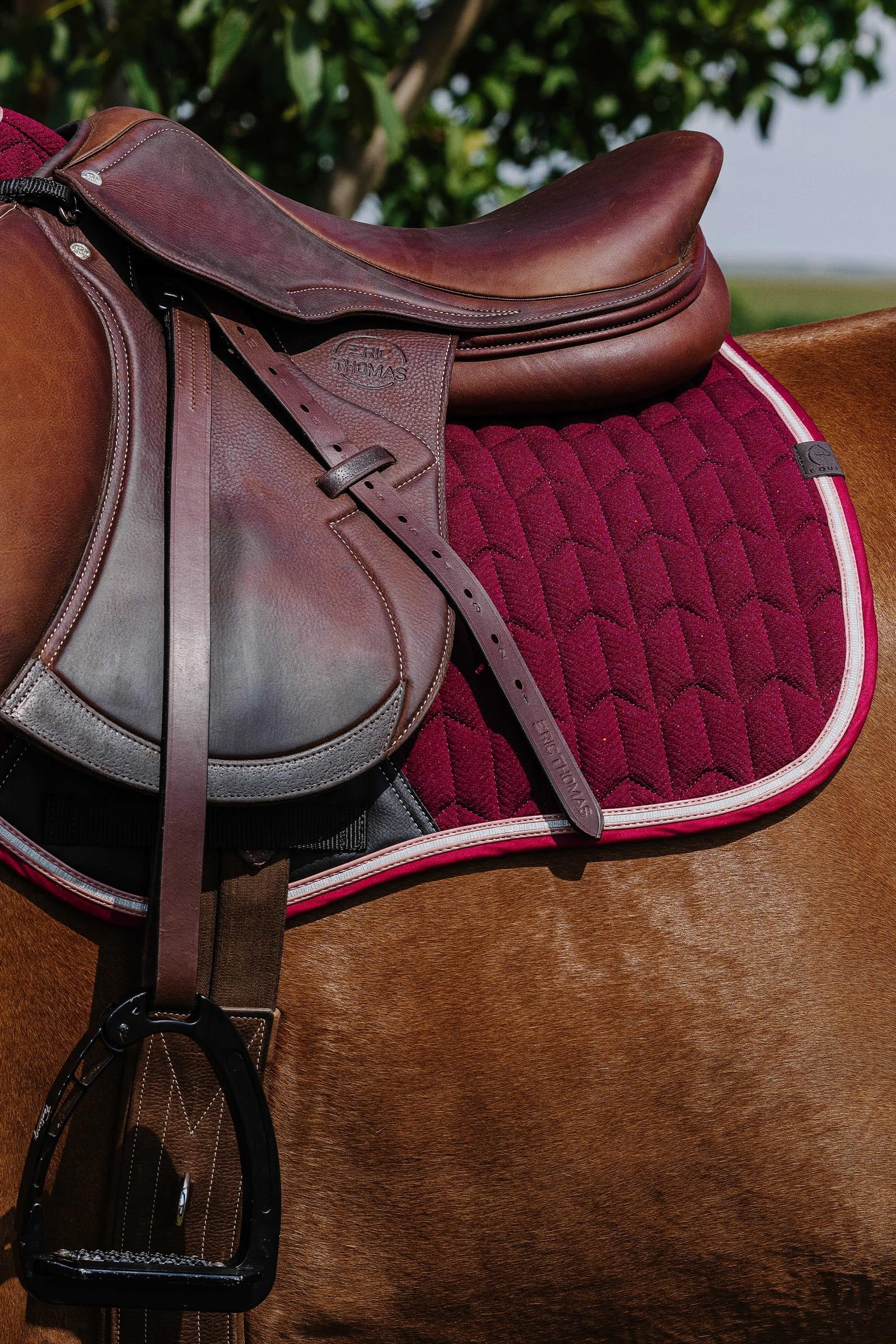Equi Theme EQUITHÈME Eclat Saddle Pad Saddle Pads