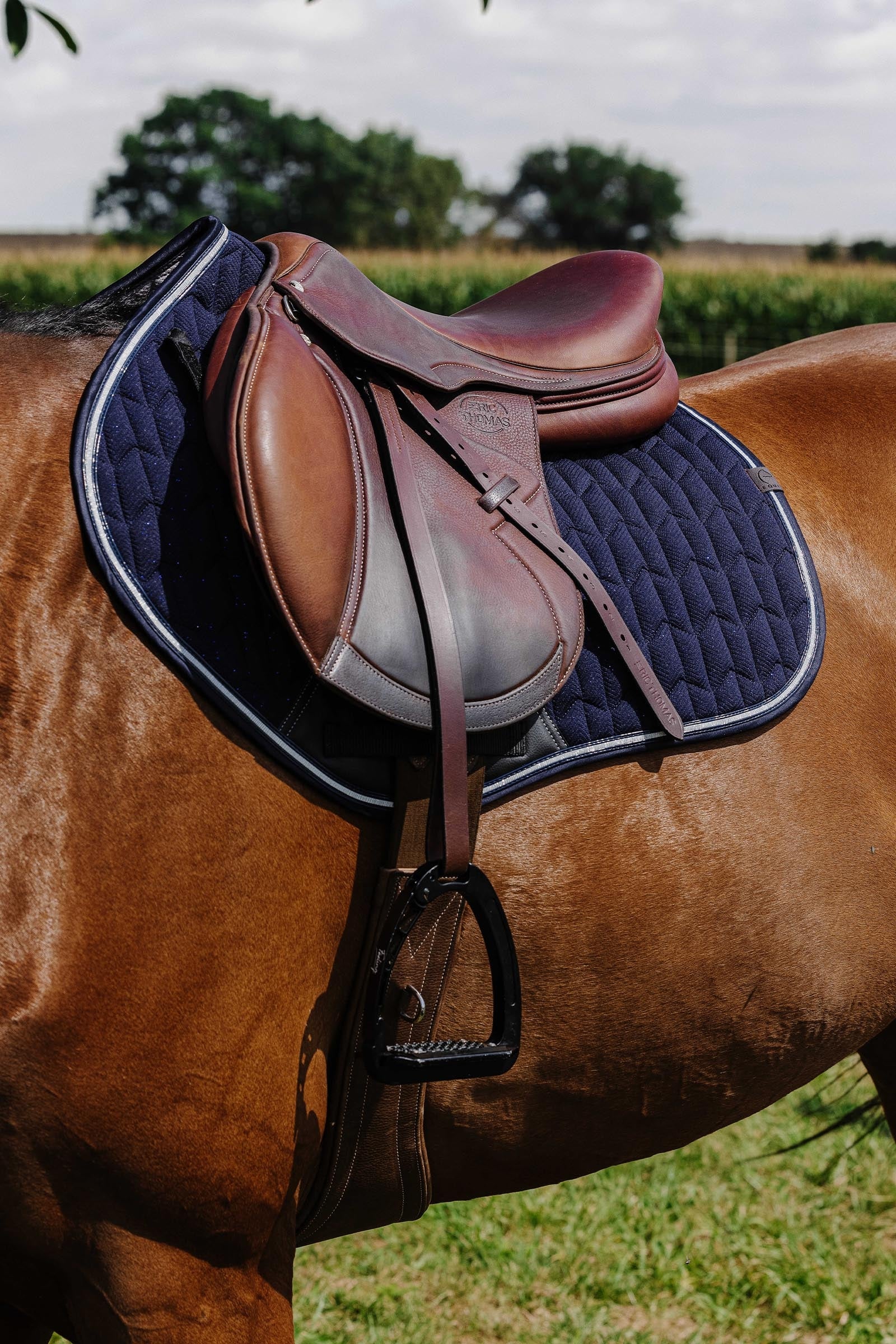Equi Theme EQUITHÈME Eclat Saddle Pad Saddle Pads