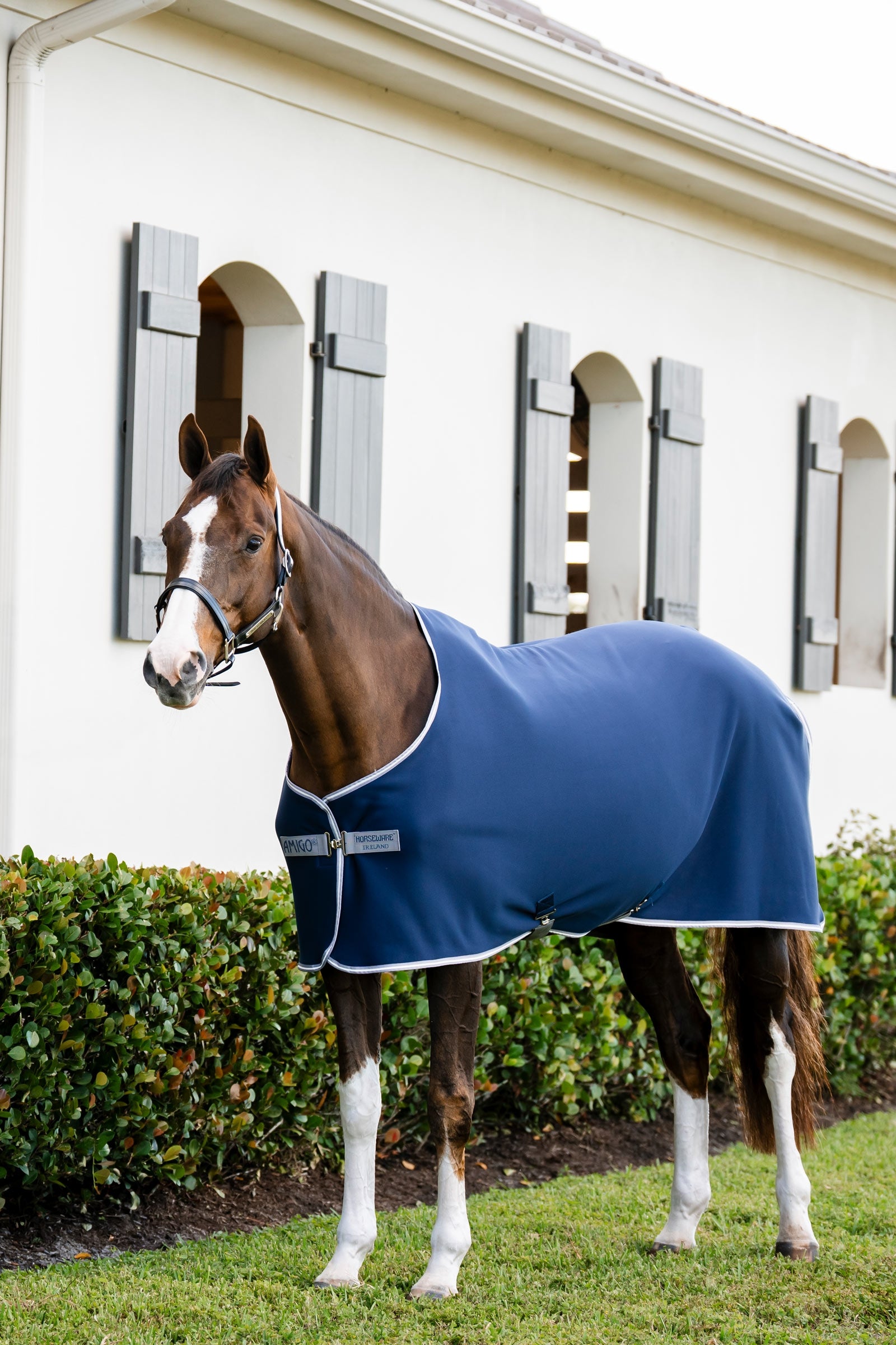 Horseware Amigo jerseyová odpocovací deka Horse Rugs