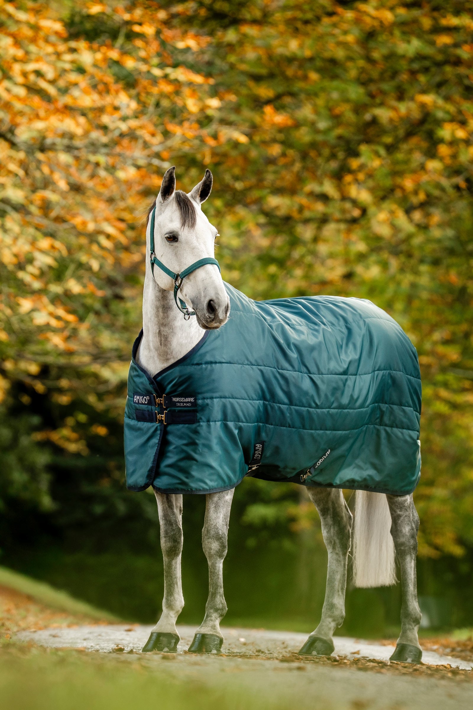 Horseware Amigo Ripstop stájová deka s výplní, 350 g Horse Rugs