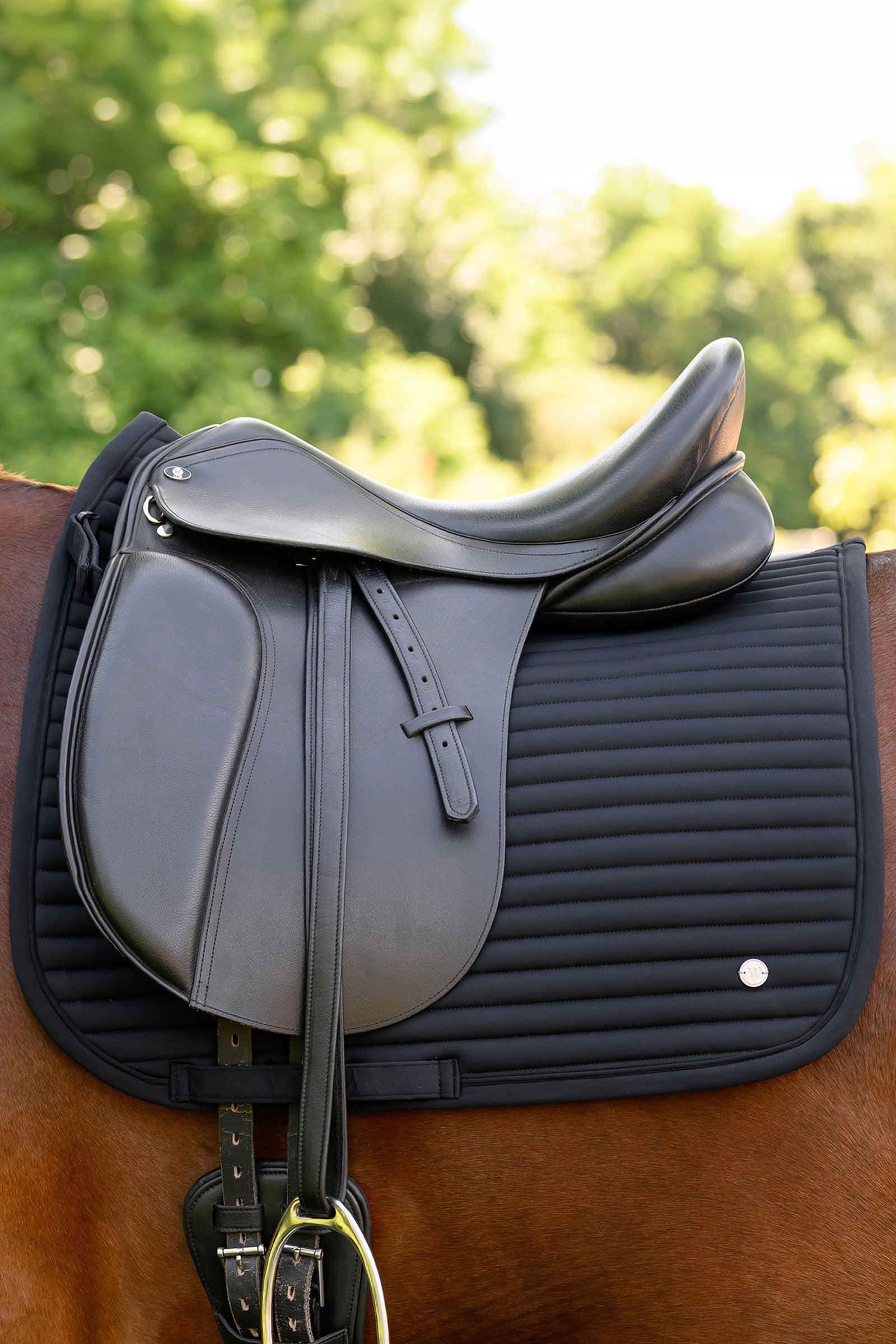 Waldhausen Trinidad drezurní podsedlová dečka Saddle Pads