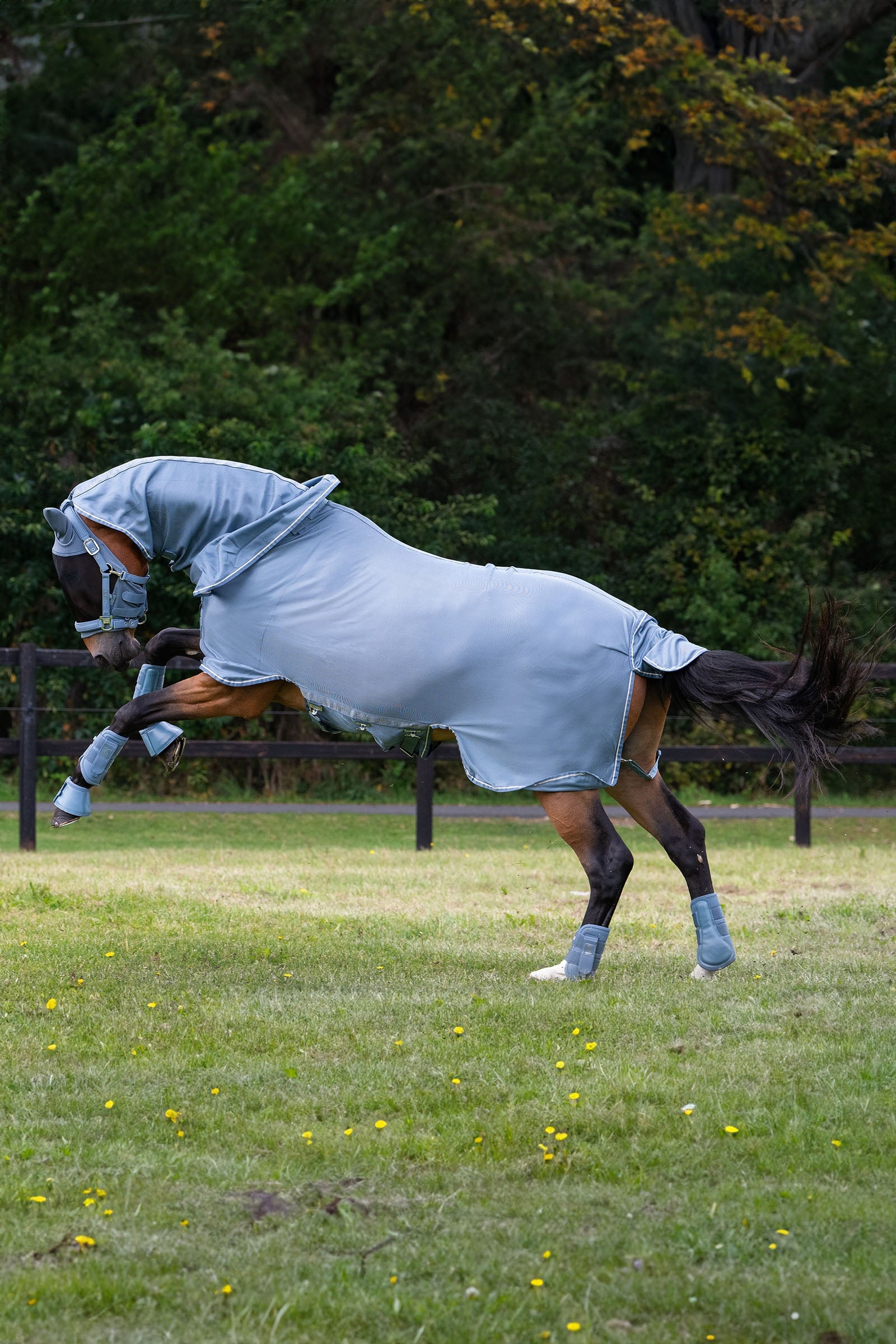 Eskadron Classic Sports SS25 Fly Detach-Neck Fly Rug Horse Rugs