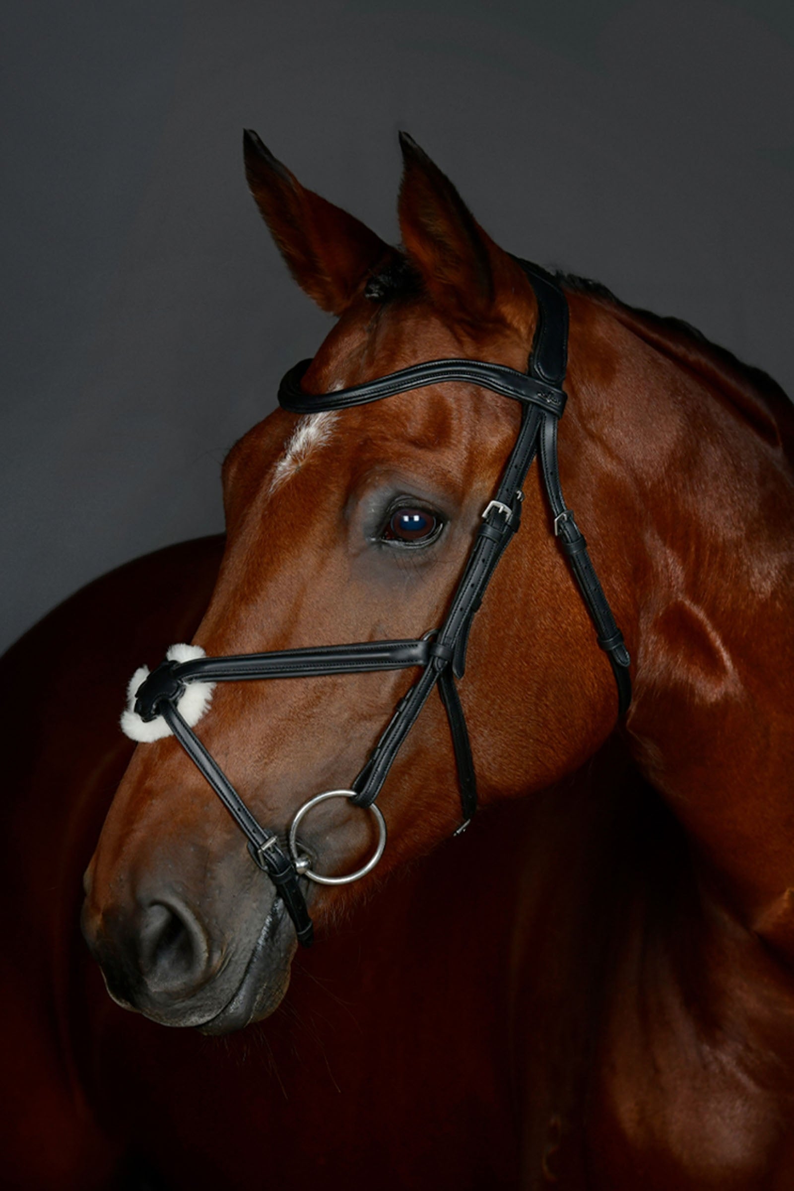 Collegiate Comfitec Opulux jednoduchá podložená uzdečka s mexickým nánosníkem Bridles & Reins