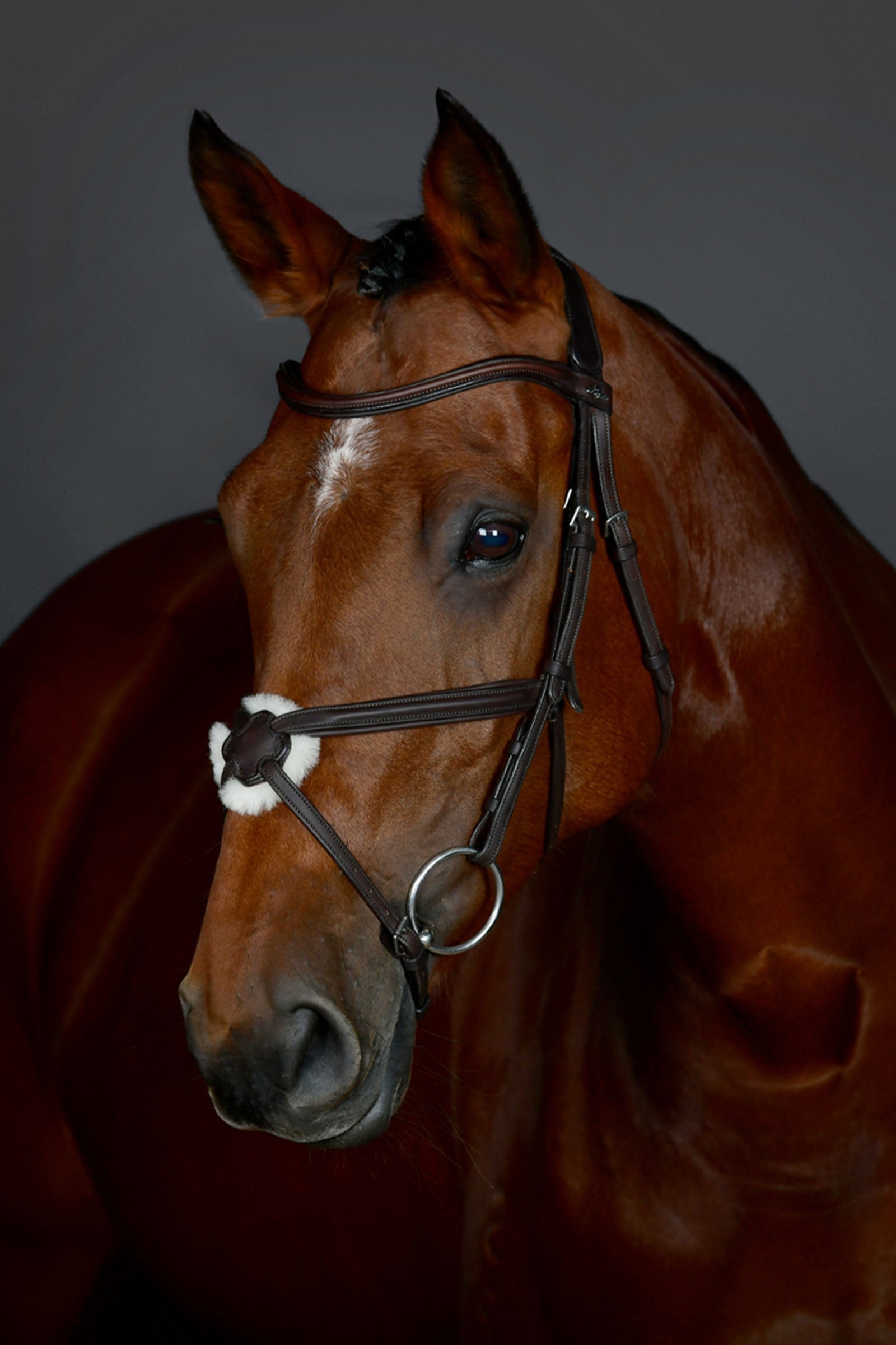 Collegiate Comfitec Opulux jednoduchá podložená uzdečka s mexickým nánosníkem Bridles & Reins