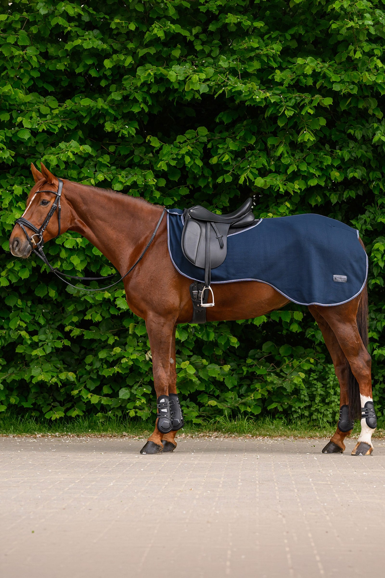 Waldhausen ECONOMIC fleecová vyjížďková deka Horse Rugs