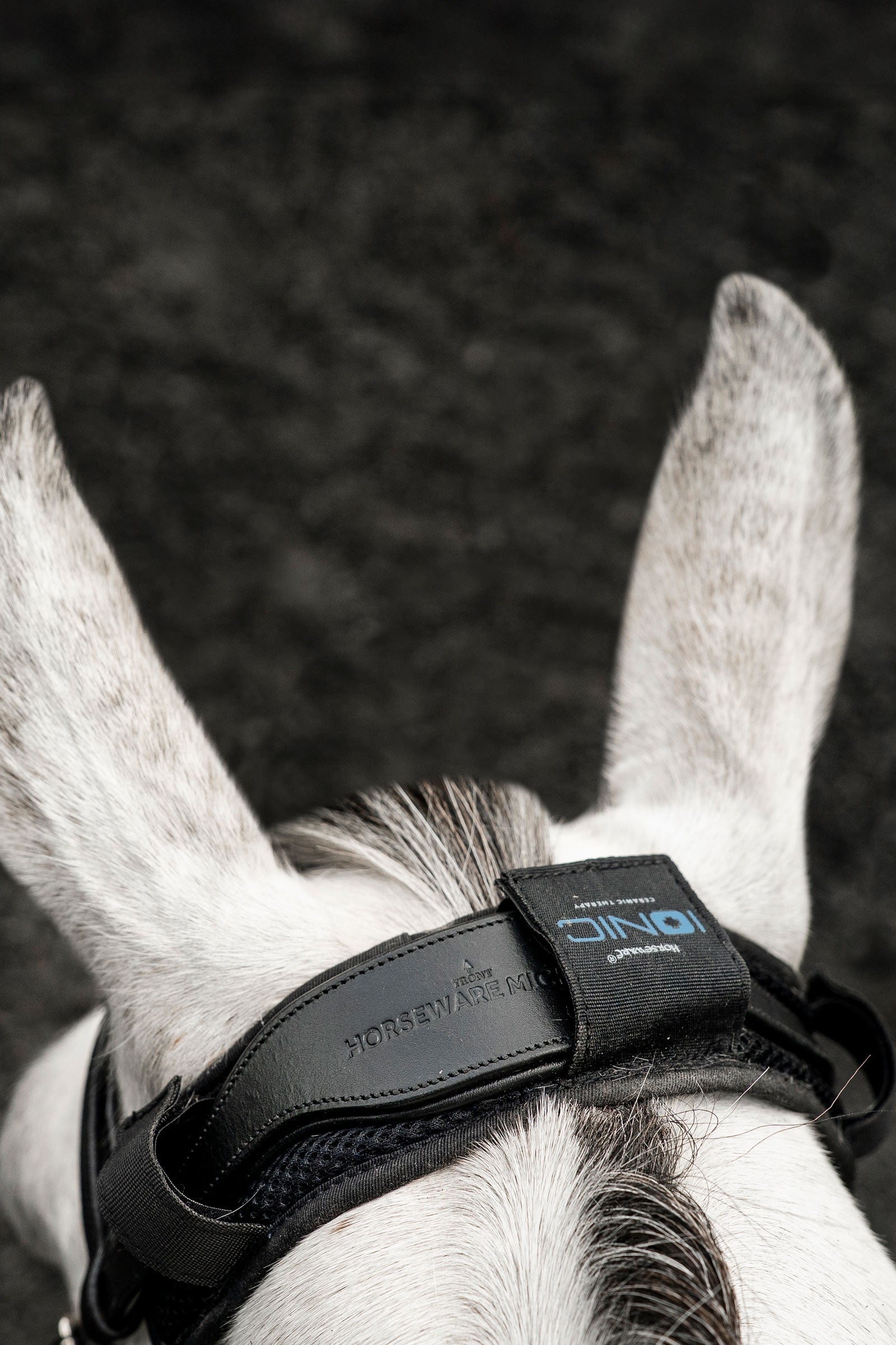 Horseware Ionic polstr na týl Antifly Protection for Horses