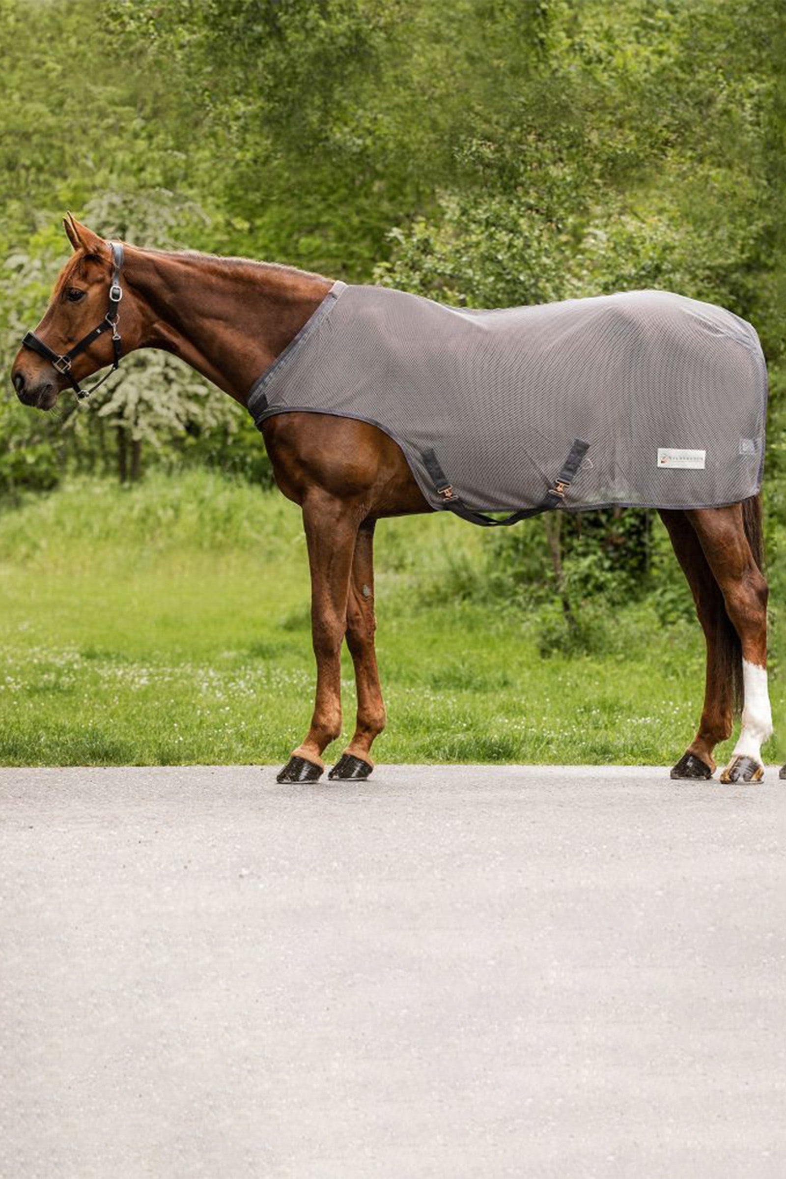 Waldhausen COMFORT Letní plachetní deka pro vedení koní Horse Rugs