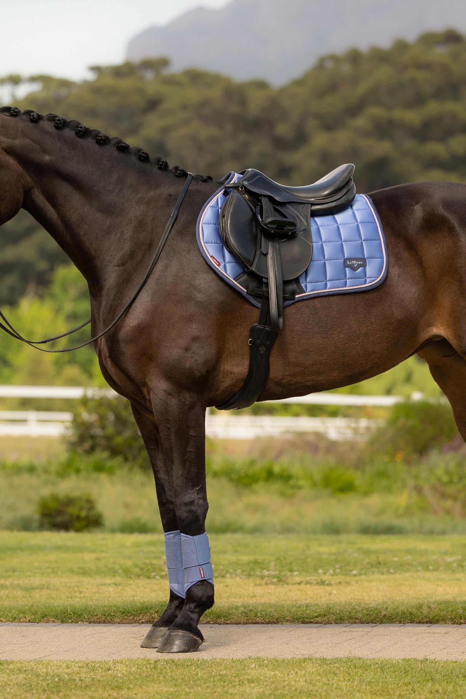 LeMieux Loire Classic Square Close Contact Saddle Pad Saddle Pads