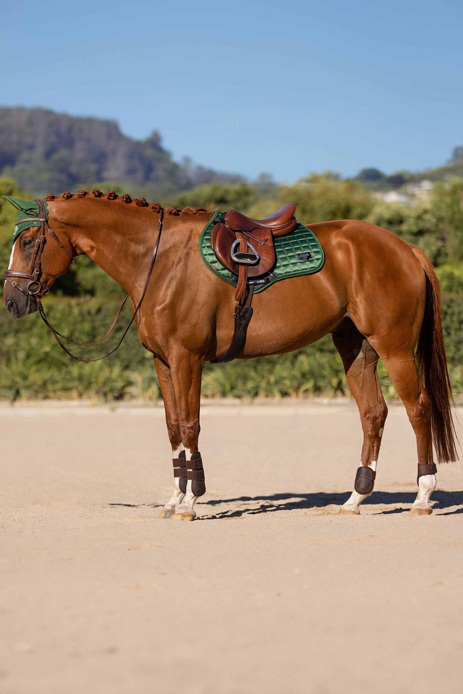 LeMieux Lemieux Loire Classic Close Contact Square Saddle Pad Saddle Pads