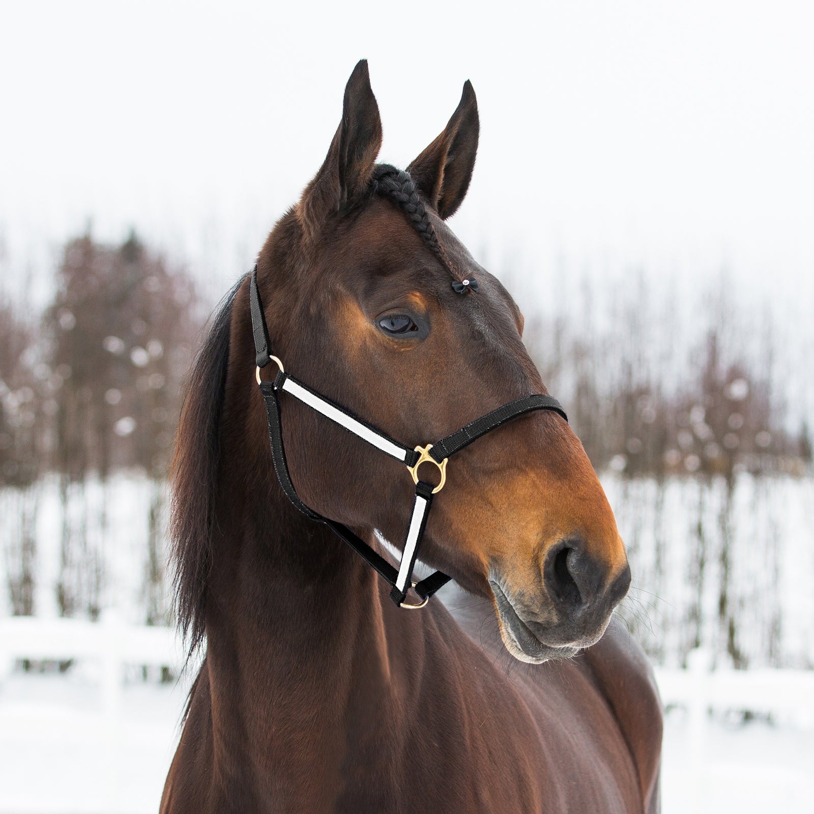 Finntack Pro Synthetic Yankee Nylon Halter Halters & Leads
