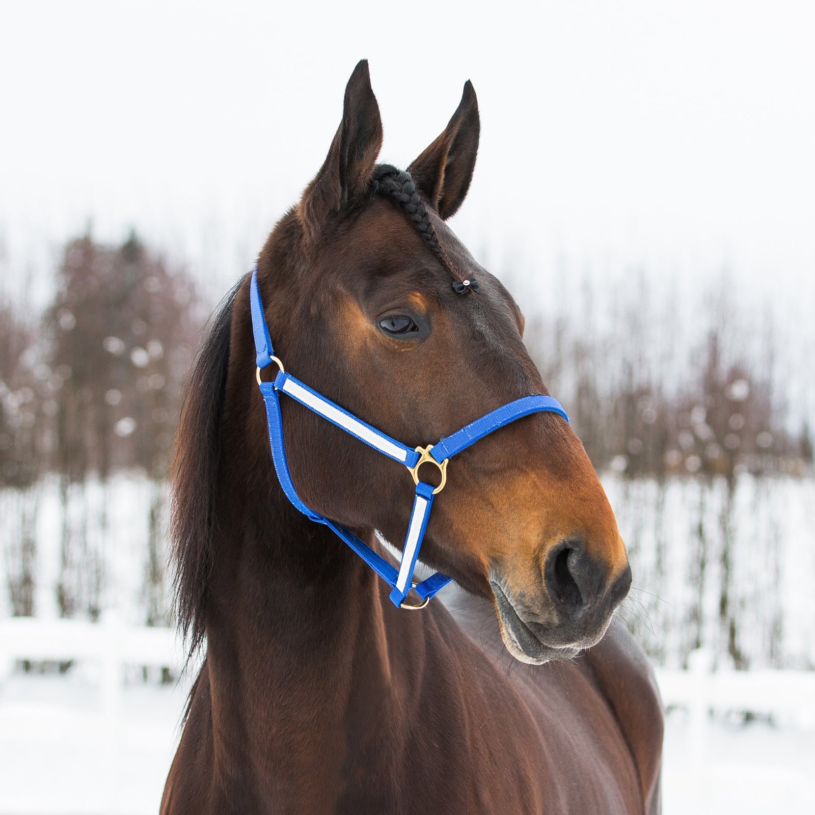 Finntack Pro Synthetic Yankee Nylon Halter Halters & Leads