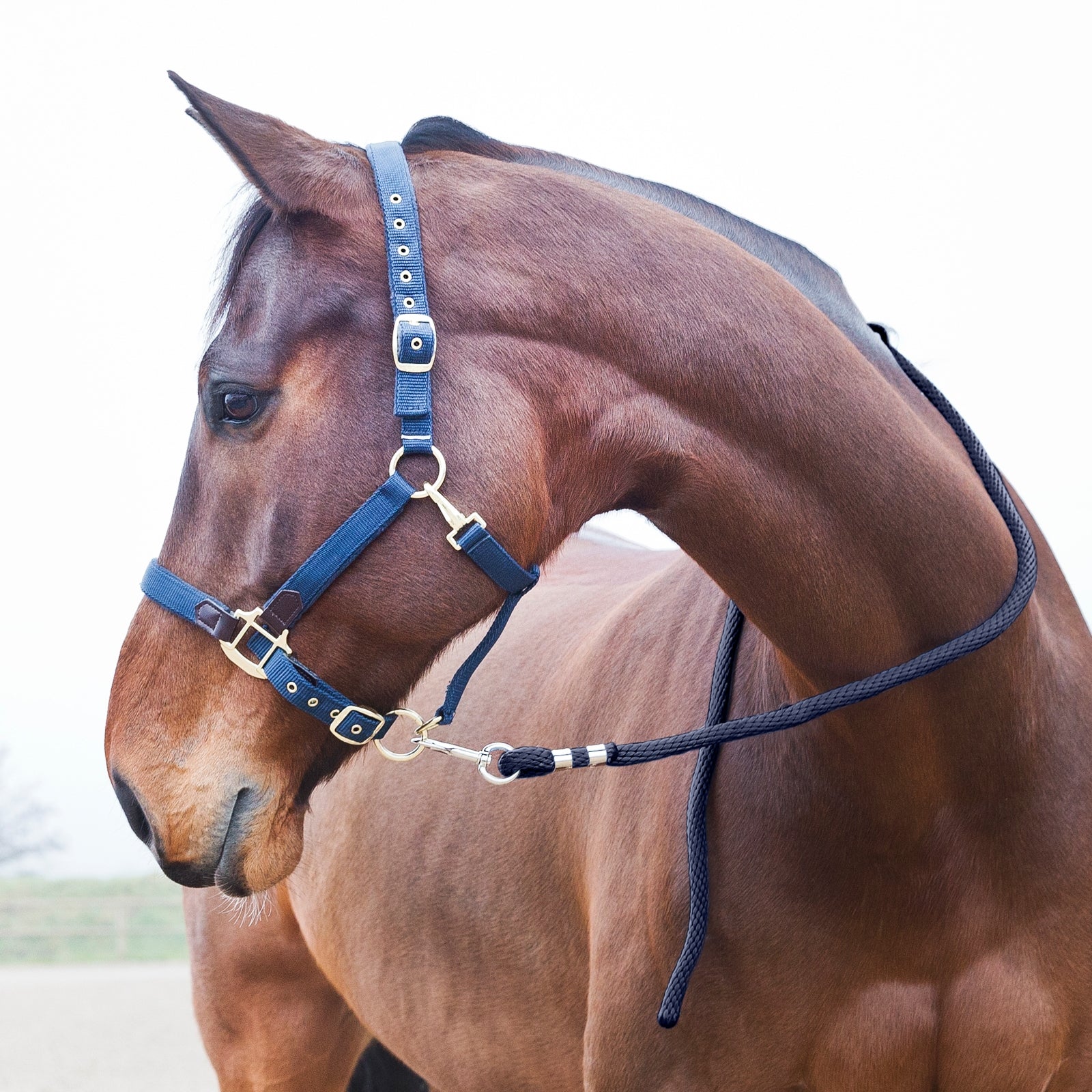 Horze Lead, Snap Buckle Halters & Leads