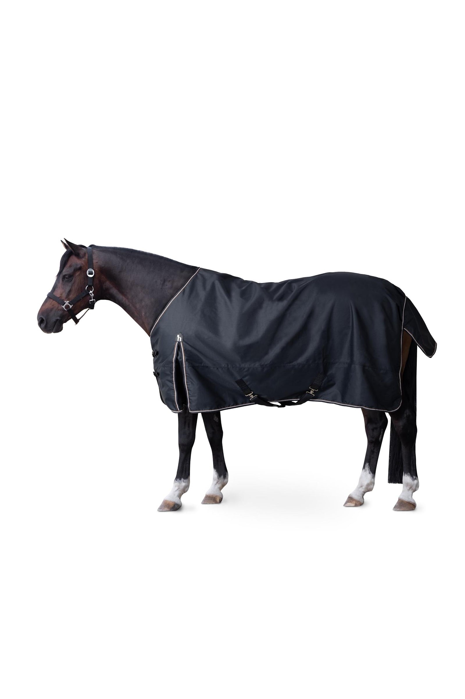 Horze Glasgow deka pro poníky do výběhu, 100 g Horse Rugs