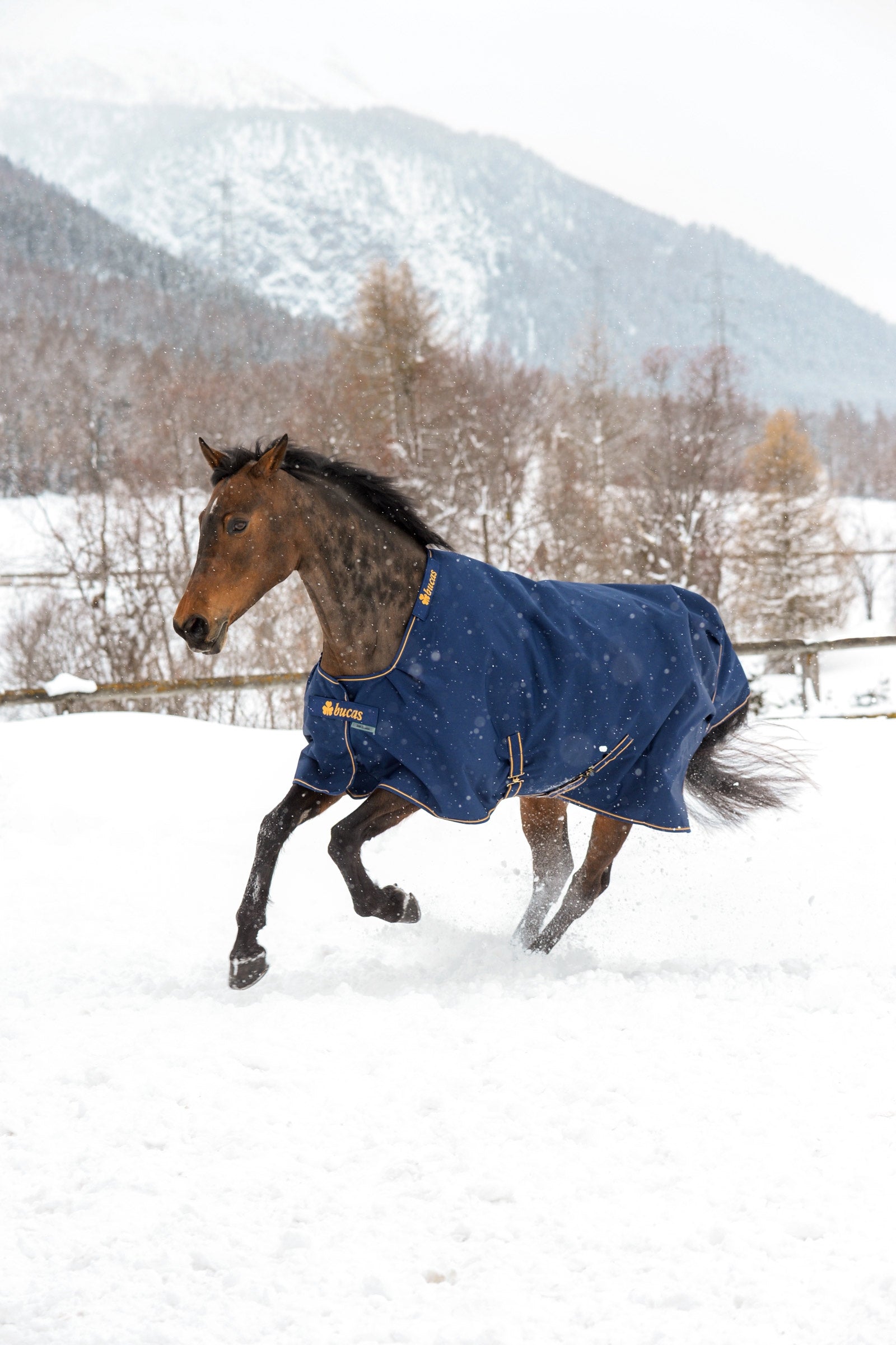 Bucas Irish výběhová deka, 300g Horse Rugs