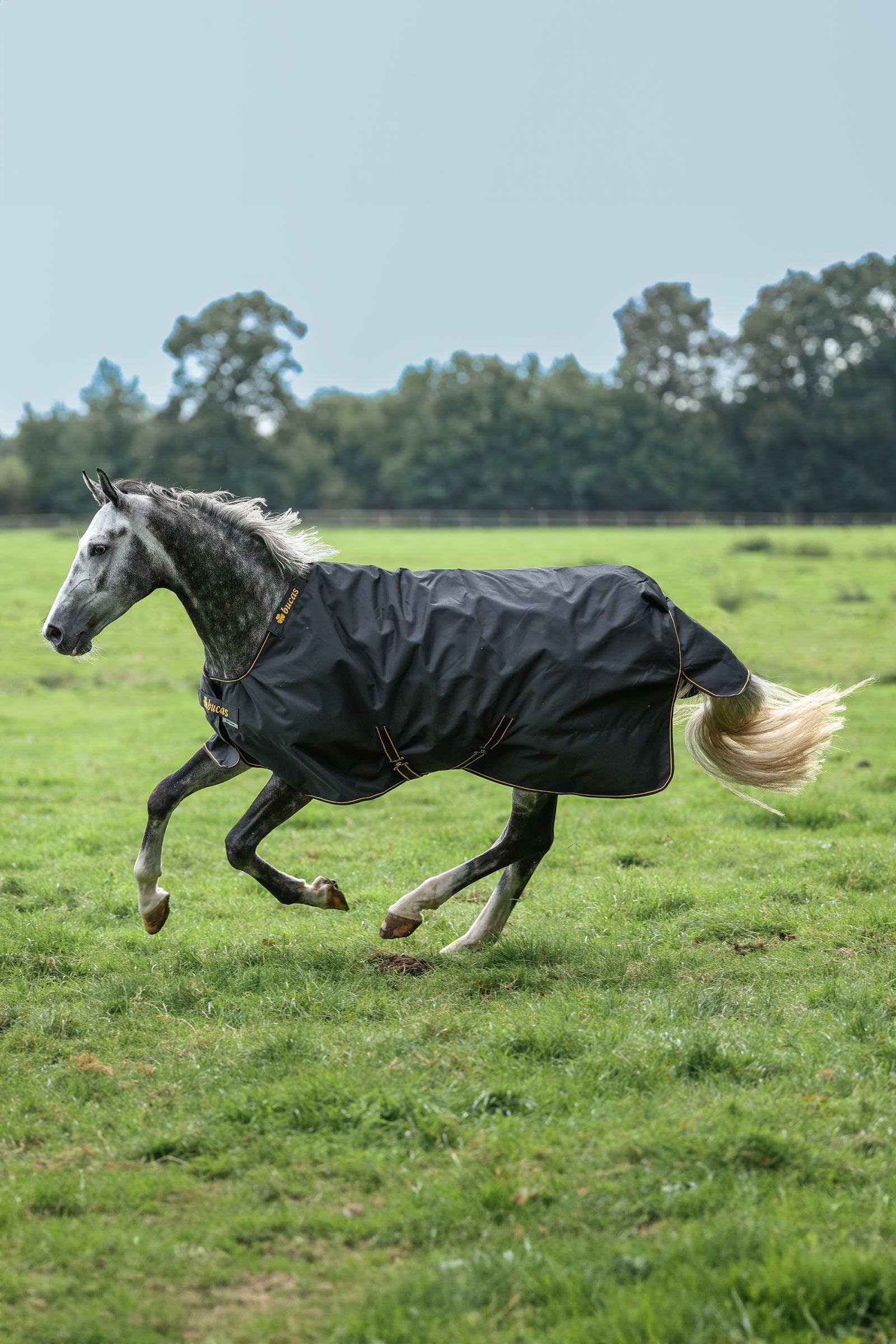 Bucas Irish výběhová deka, 50g Horse Rugs