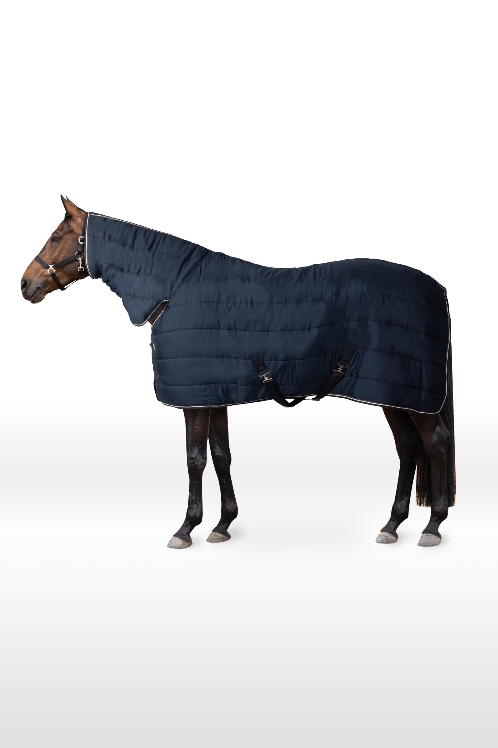Horze Glasgow stájová deka / poddeka s pevným krčním dílem, 150 g Horse Rugs