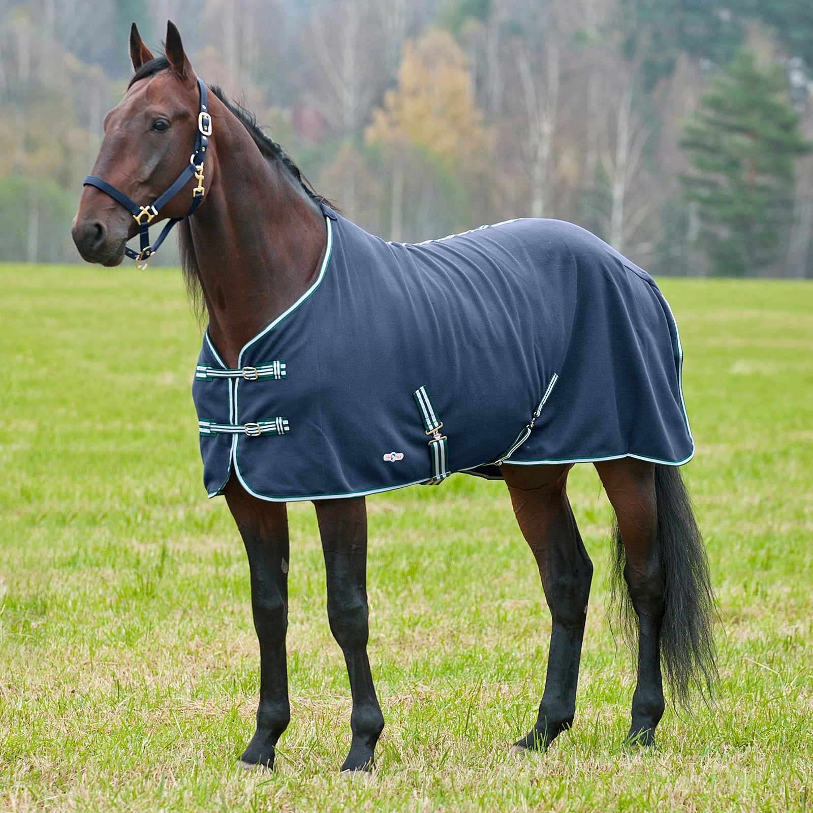 Finntack Pro Cuddle Fleece Cooler Horse Rugs