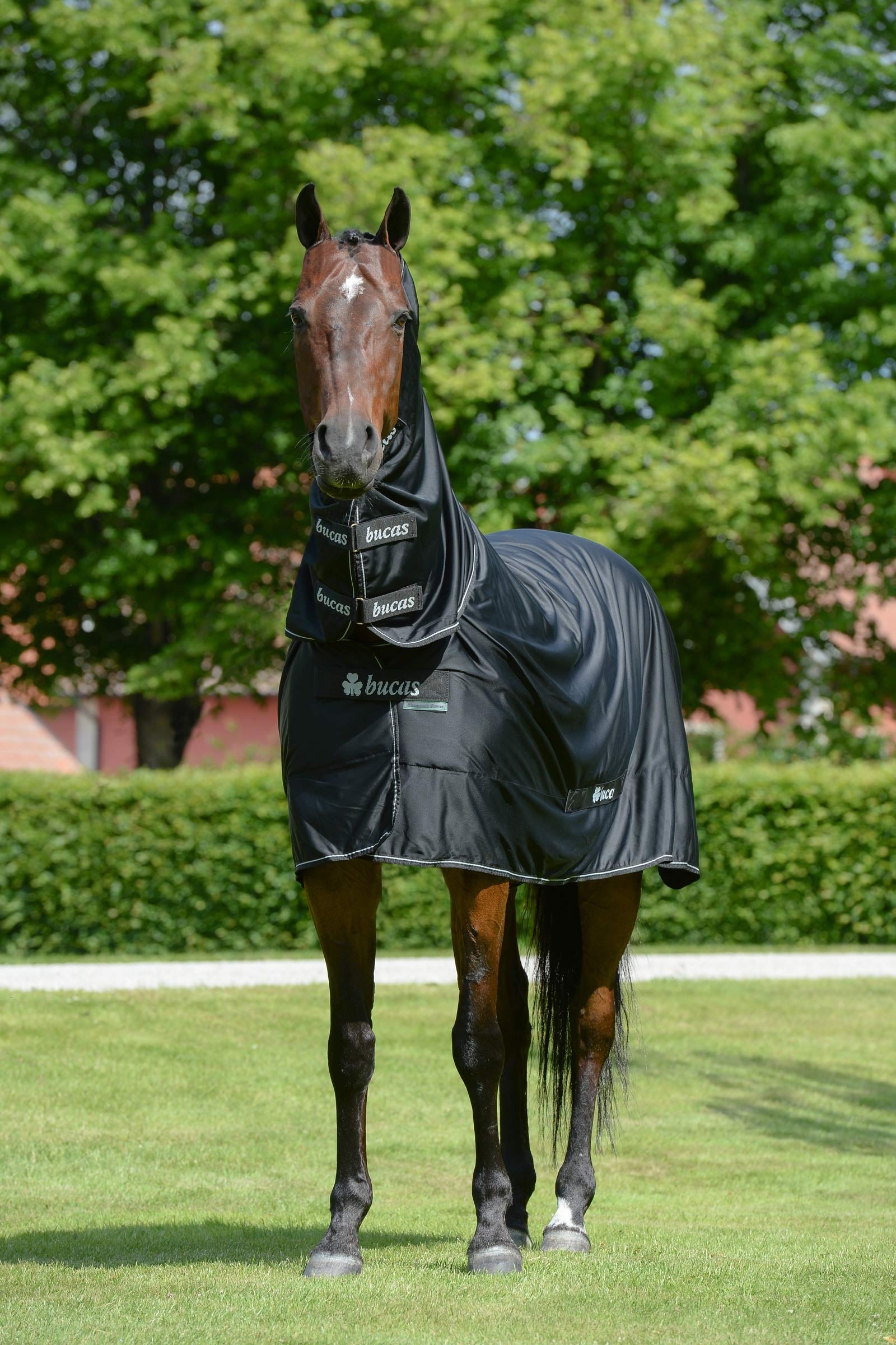 Bucas Shamrock Power výběhová deka s Halsteilem Horse Rugs