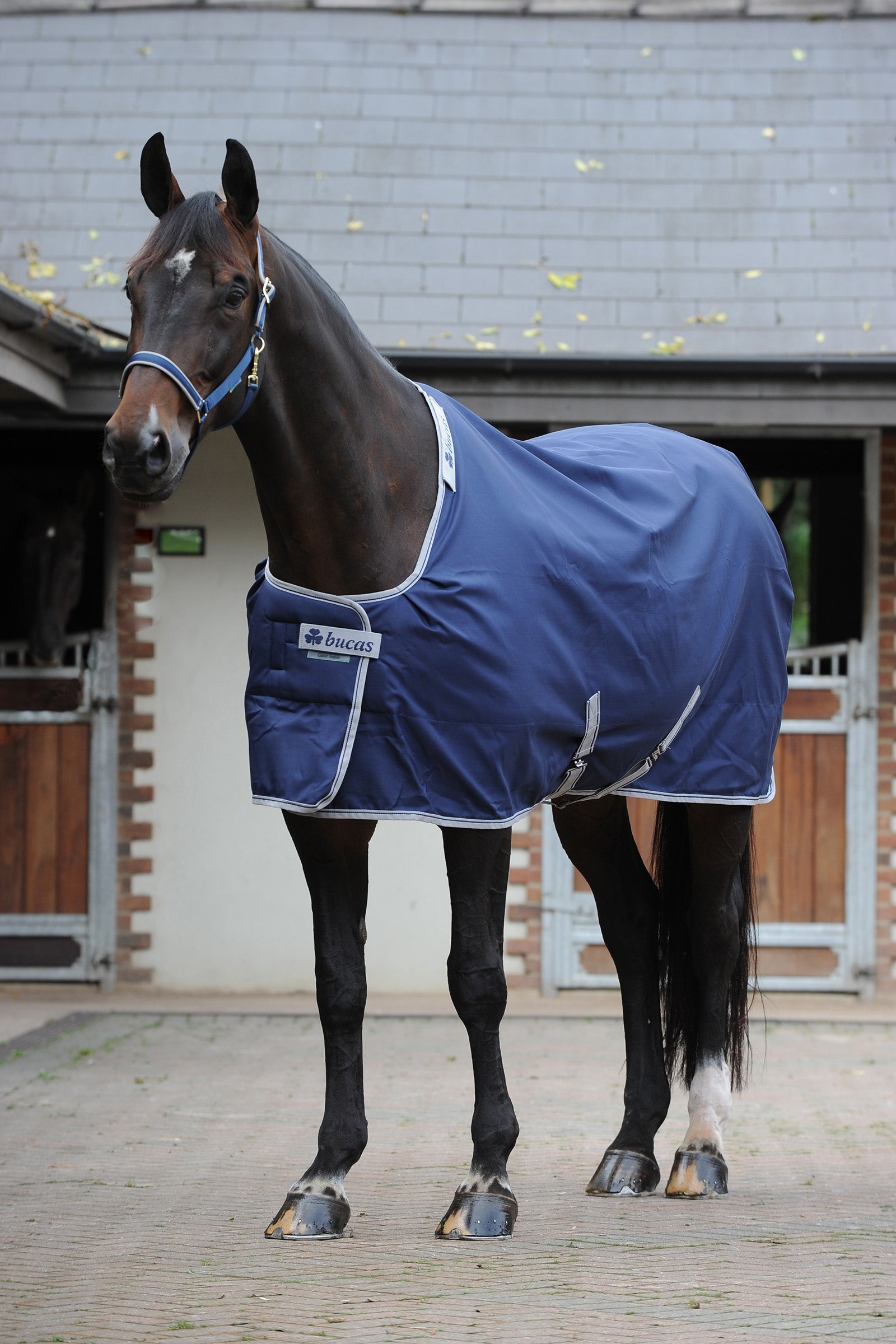 Bucas Celtic Stable Extra rug Horse Rugs