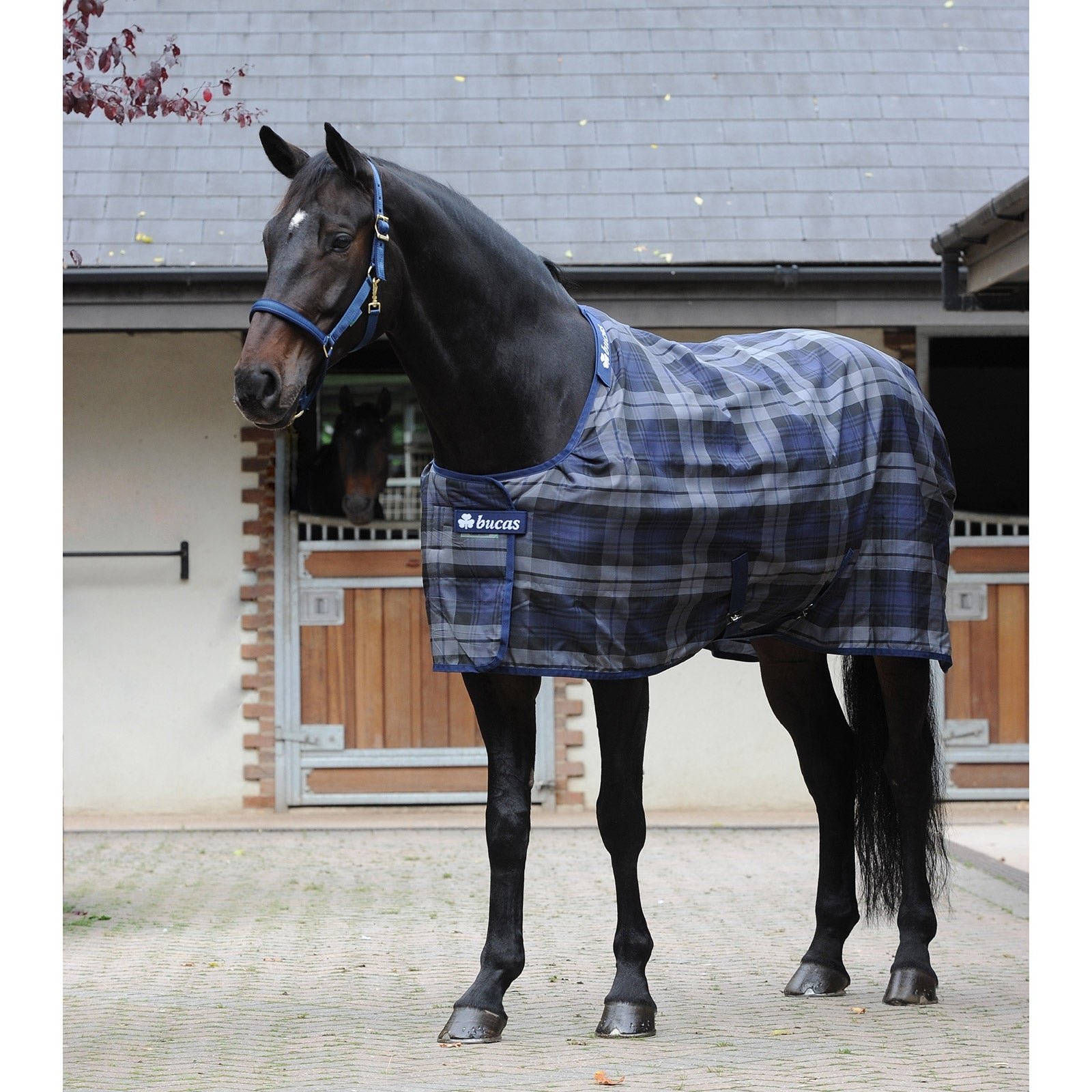 Bucas Celtic Stable Extra rug Horse Rugs