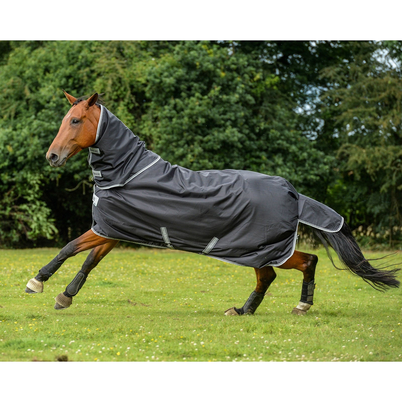 Bucas Smartex Nákrčník, 0 g Horse Rugs