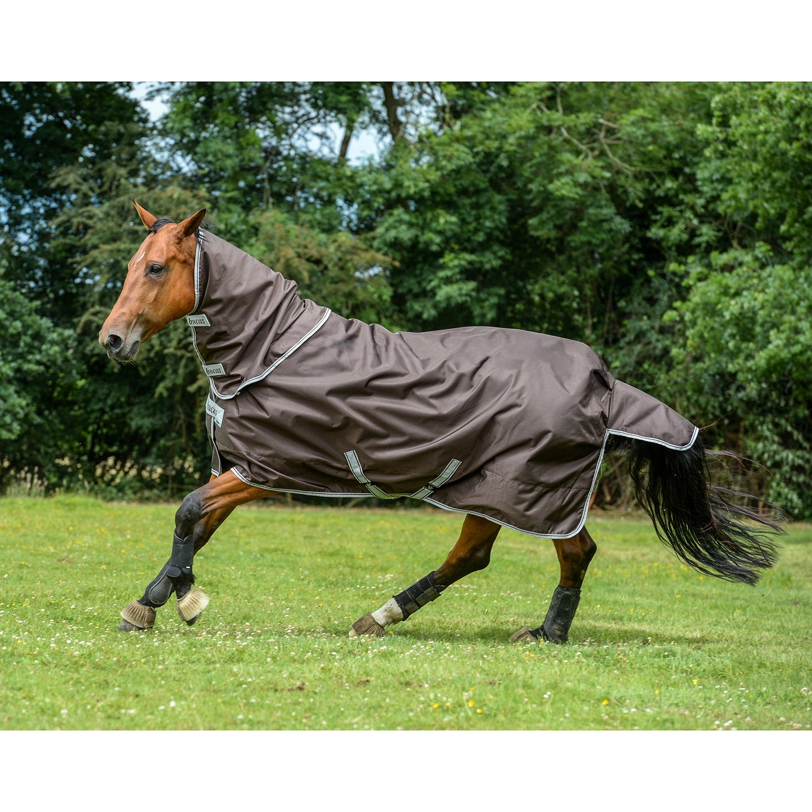 Bucas Smartex Nákrčník, 0 g Horse Rugs