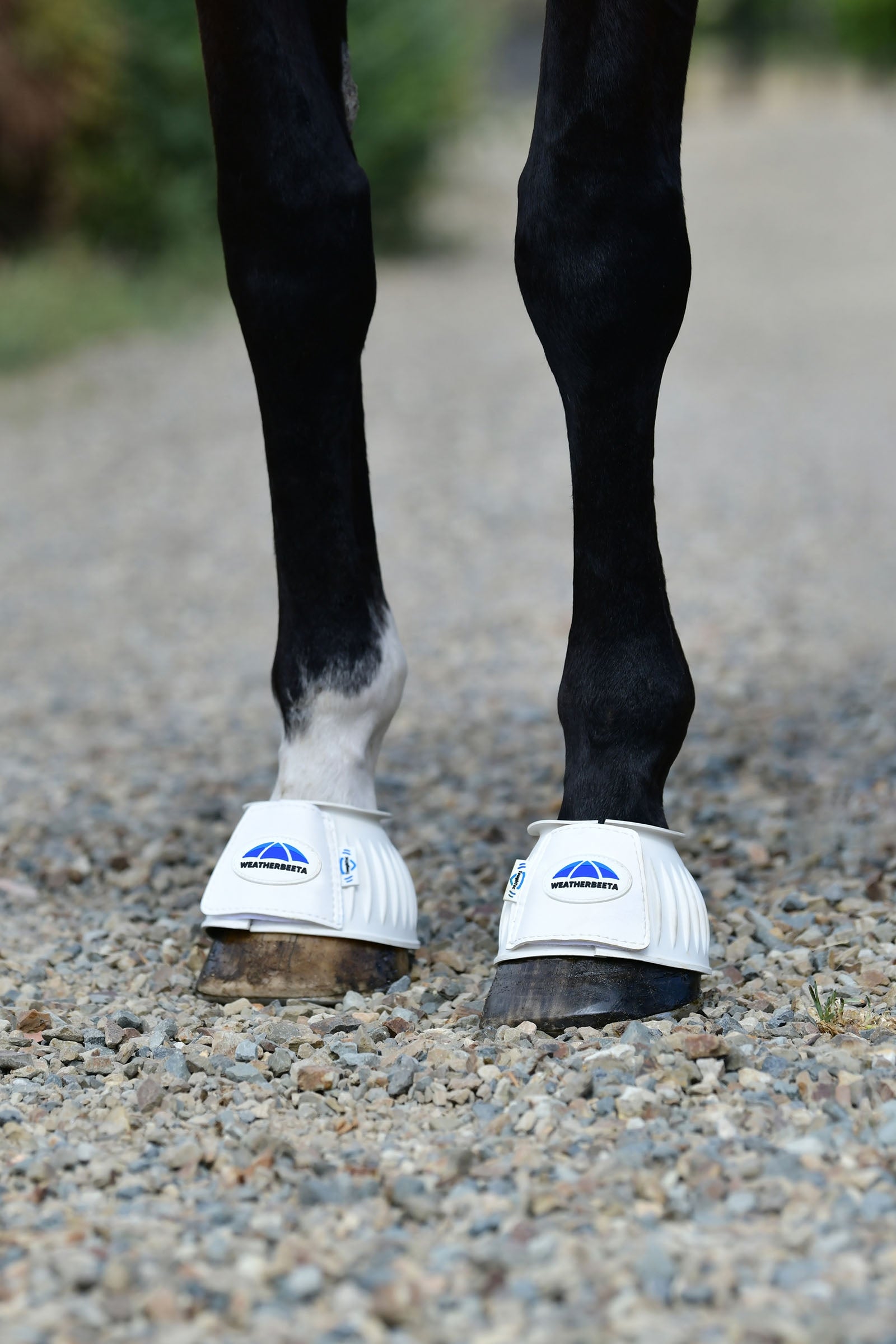 Weatherbeeta Tough-Tec Prime Rubber Bell Boots Leg & Hoof Protection