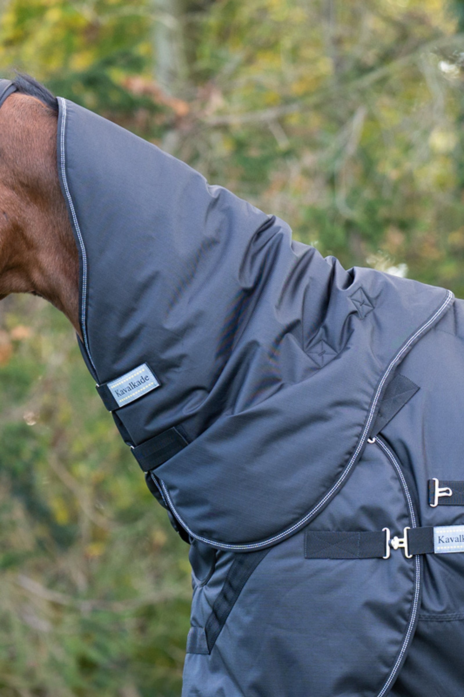 Kavalkade Halifax nákrčník pro 2v1 Koberec pro venkovní použití a Koberec Walker Horse Rugs
