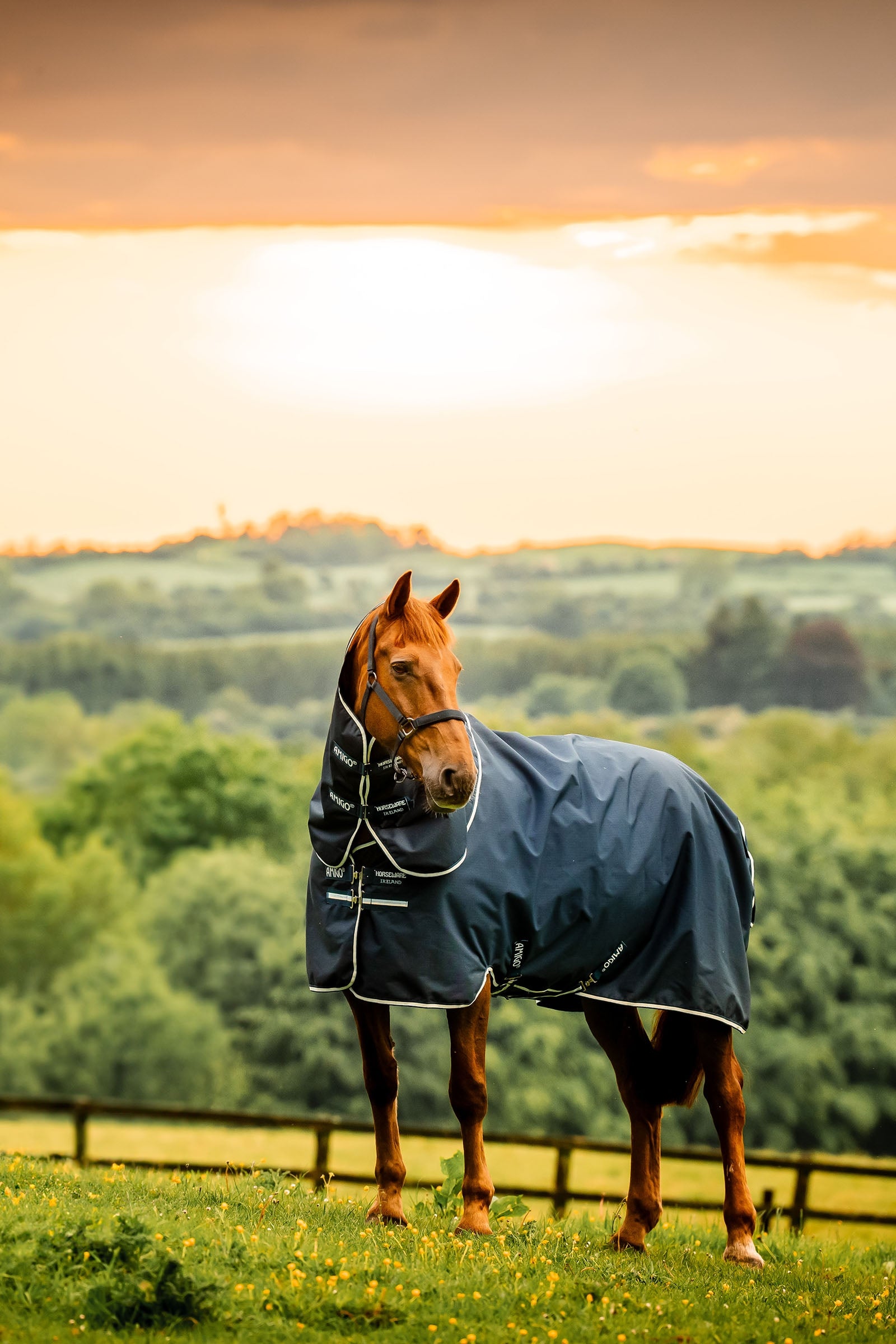 Horseware Amigo Ripstop 900D Plus výběhová deka s odepínacím krčním dílem, 100 g Horse Rugs